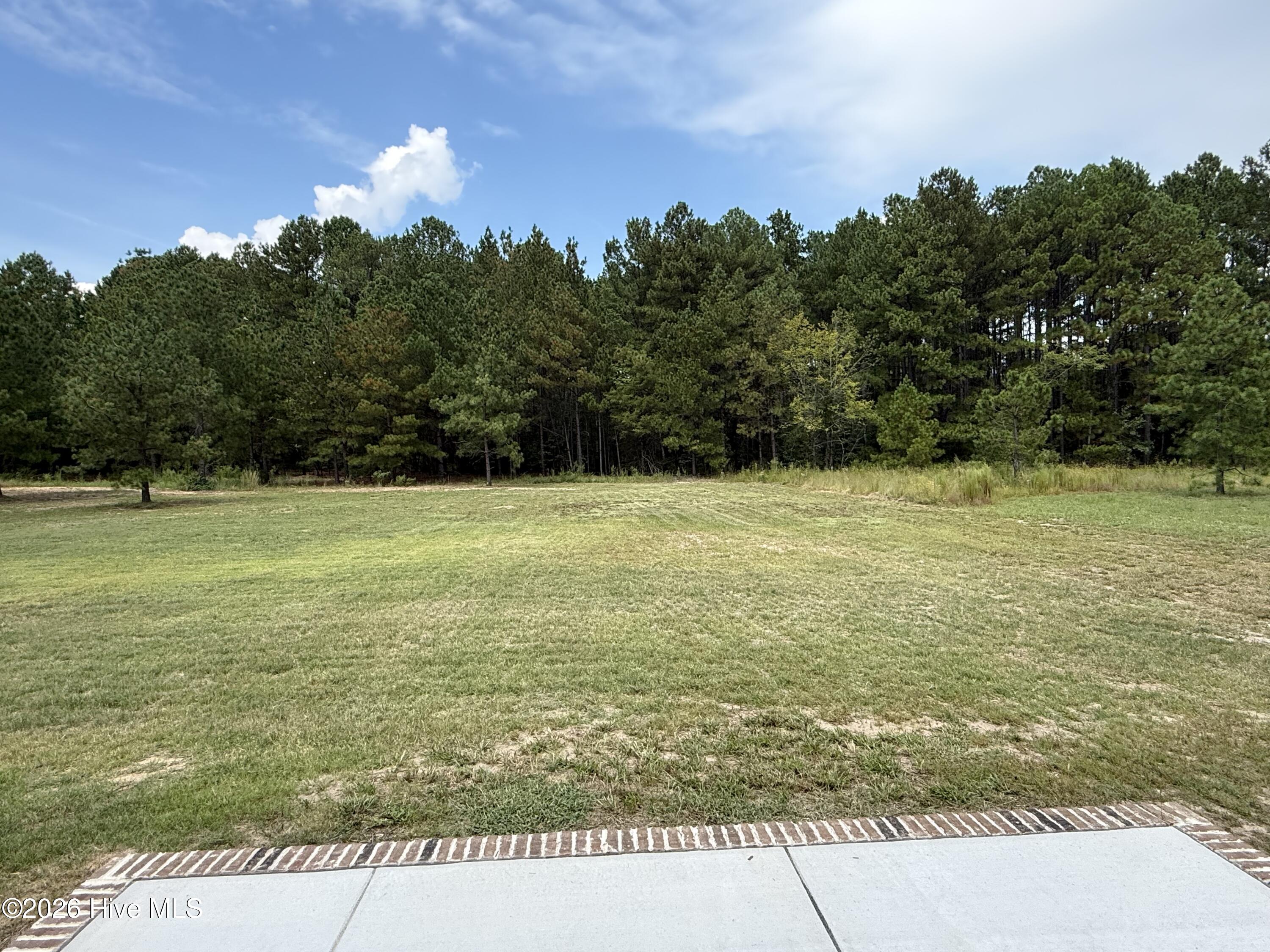 201 Spring Meadows Drive Property Photo 29