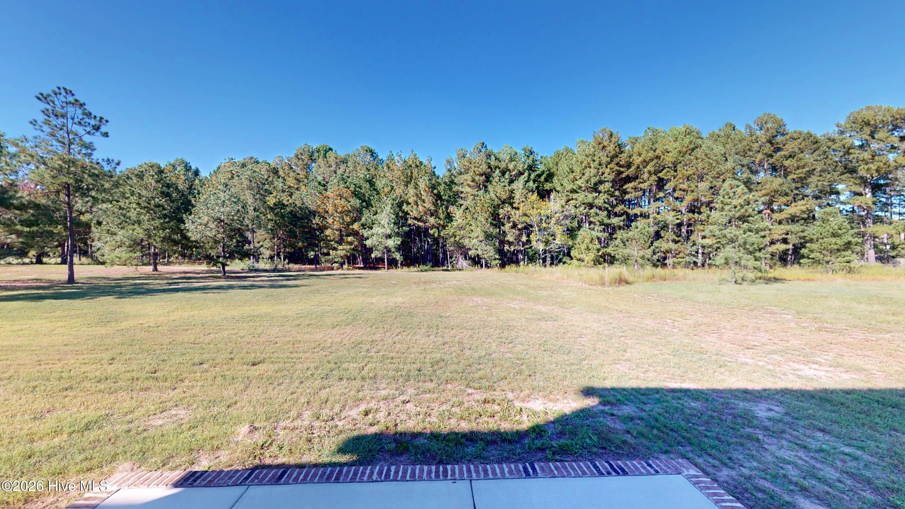 201 Spring Meadows Drive Property Photo 33