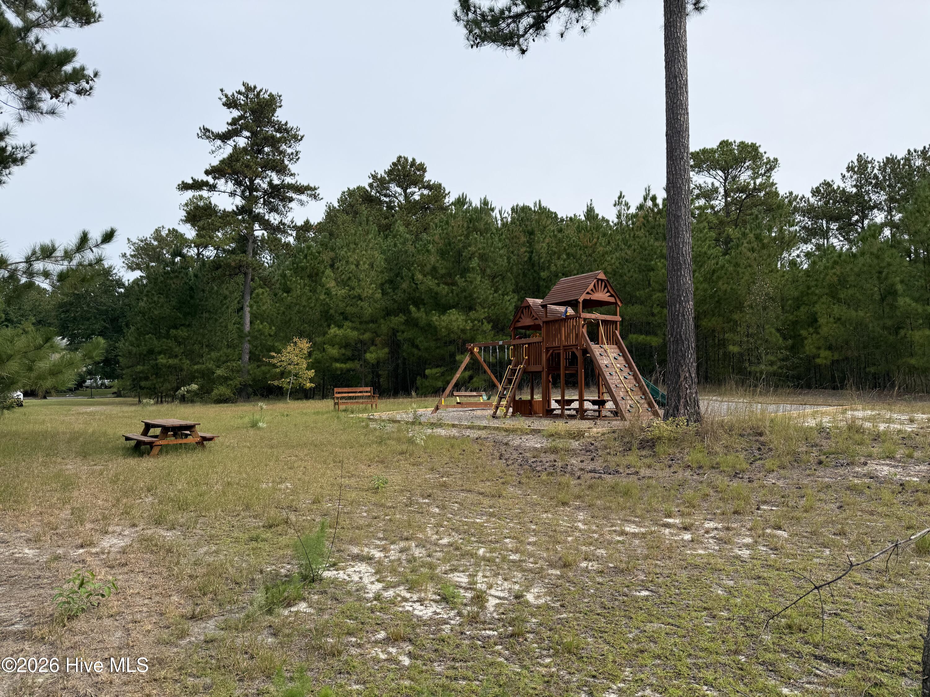 201 Spring Meadows Drive Property Photo 38