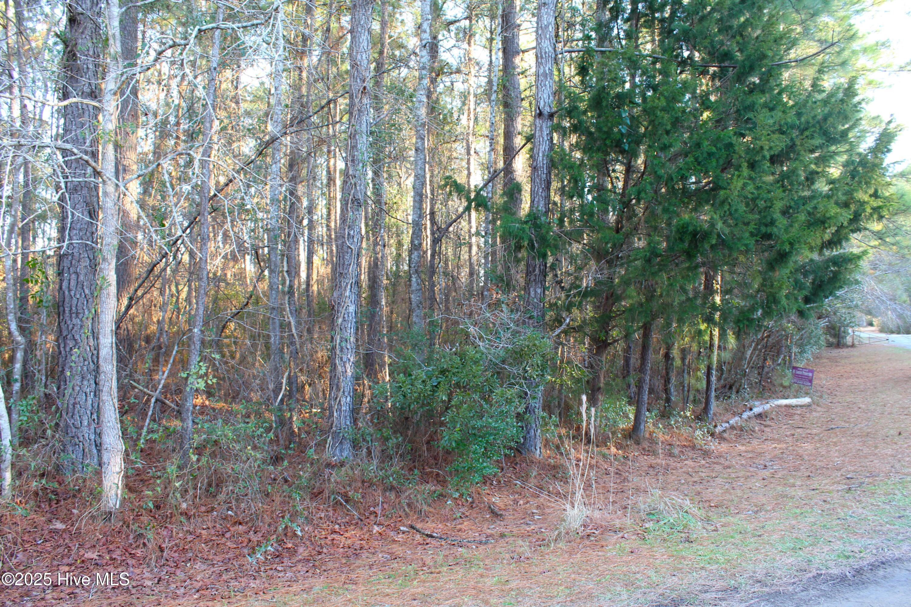 145 Heron Drive Property Photo 8