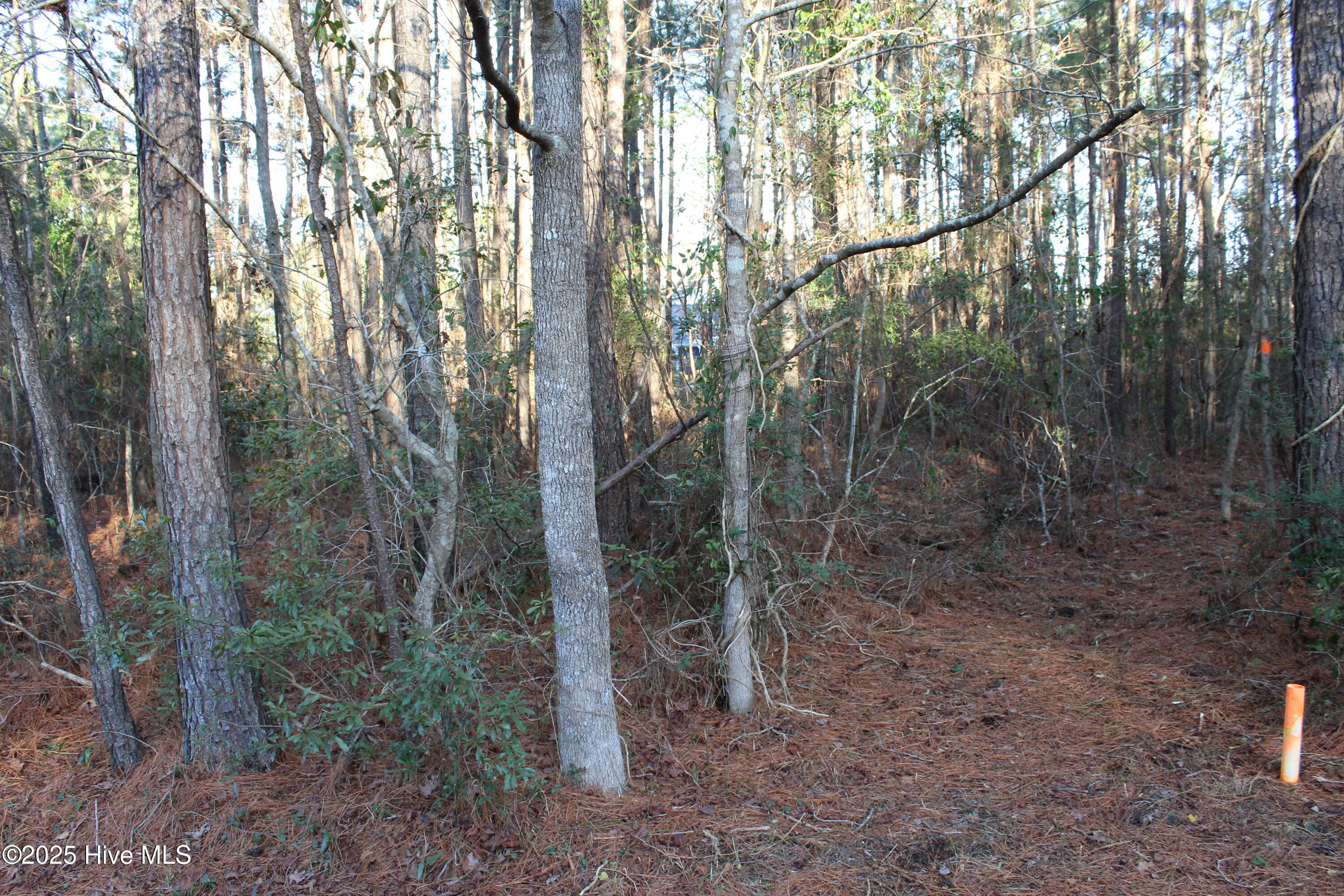 145 Heron Drive Property Photo 9