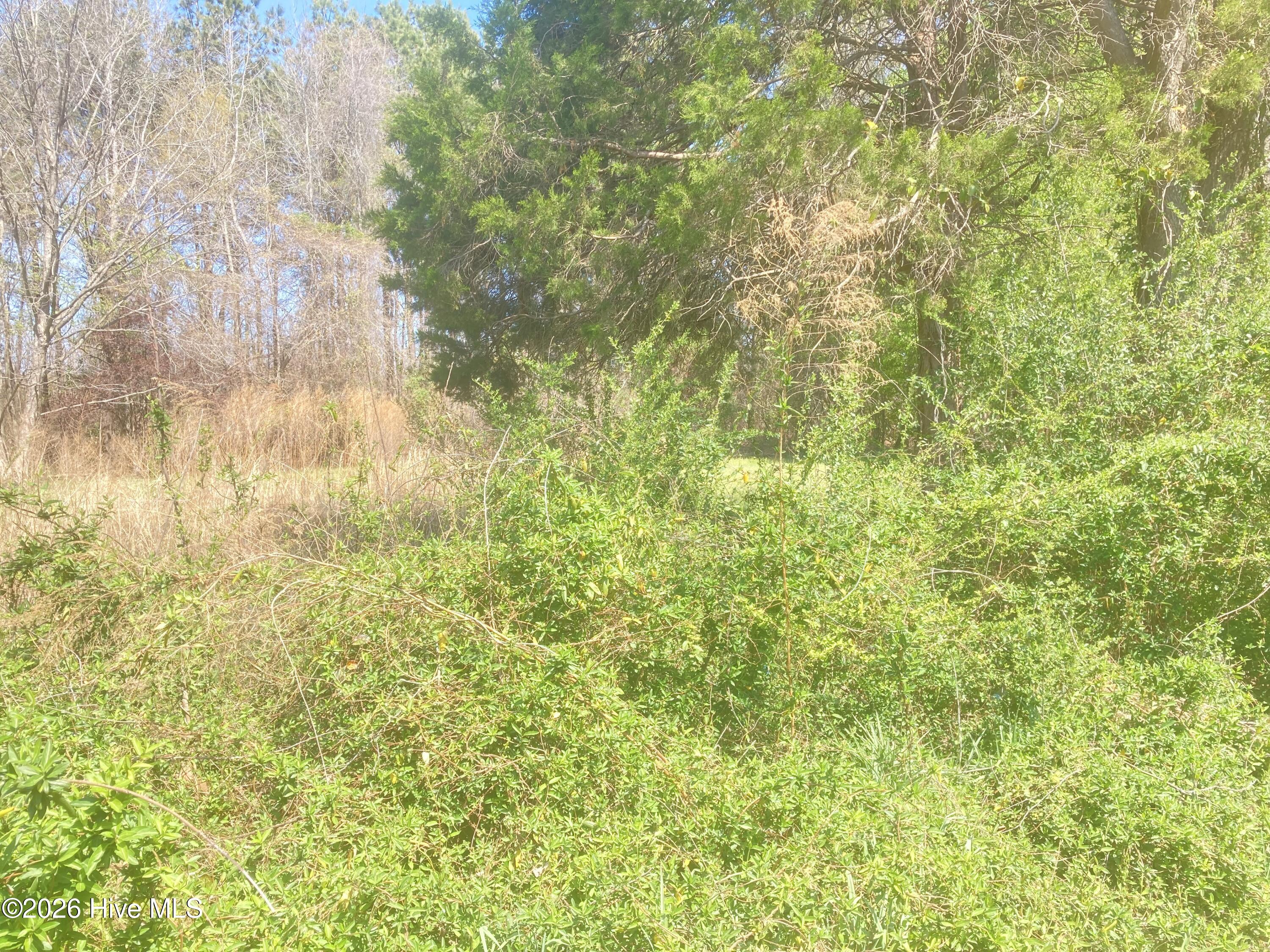 1586 Gum Swamp Church Road Property Photo 95