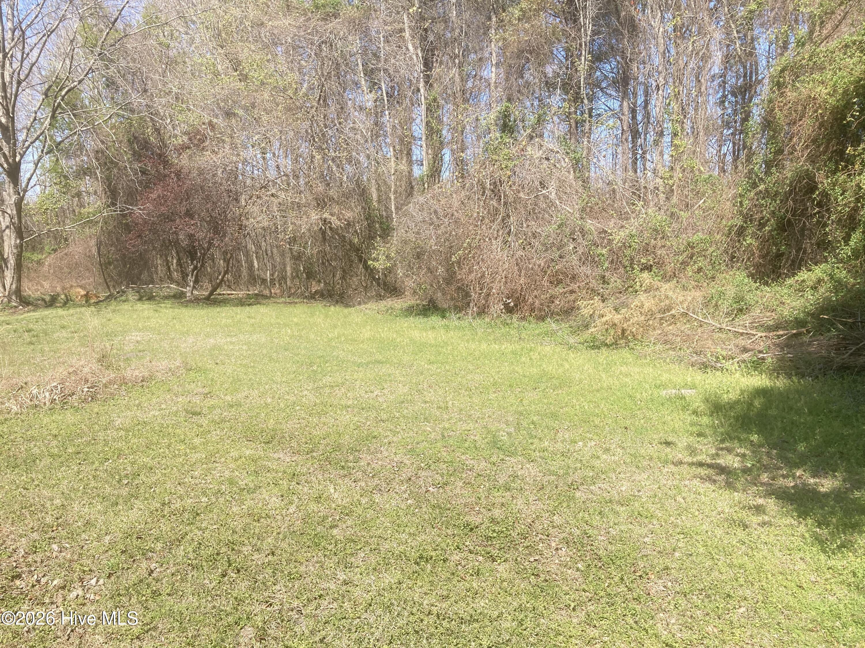 1586 Gum Swamp Church Road Property Photo 97