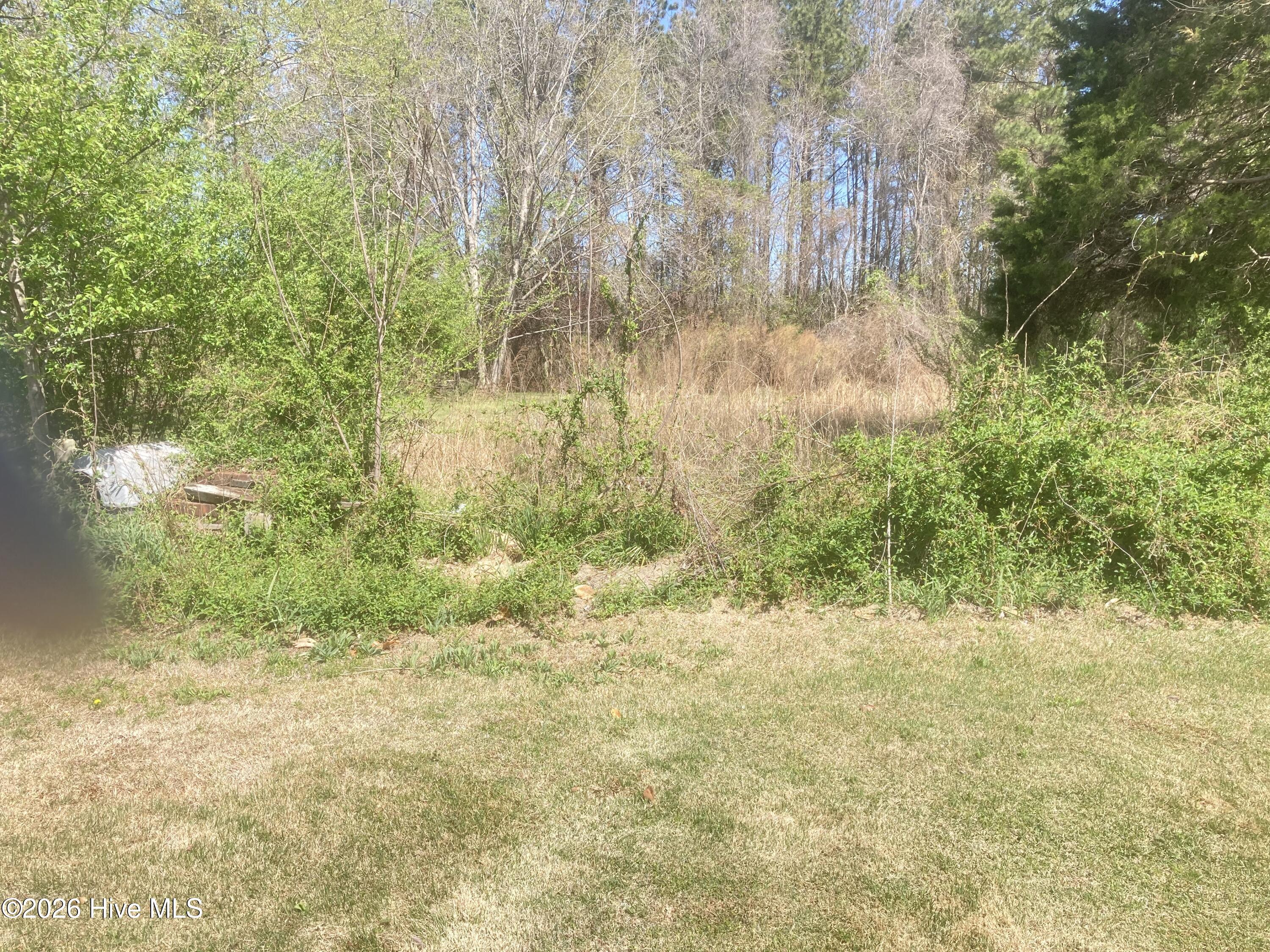 1586 Gum Swamp Church Road Property Photo 99