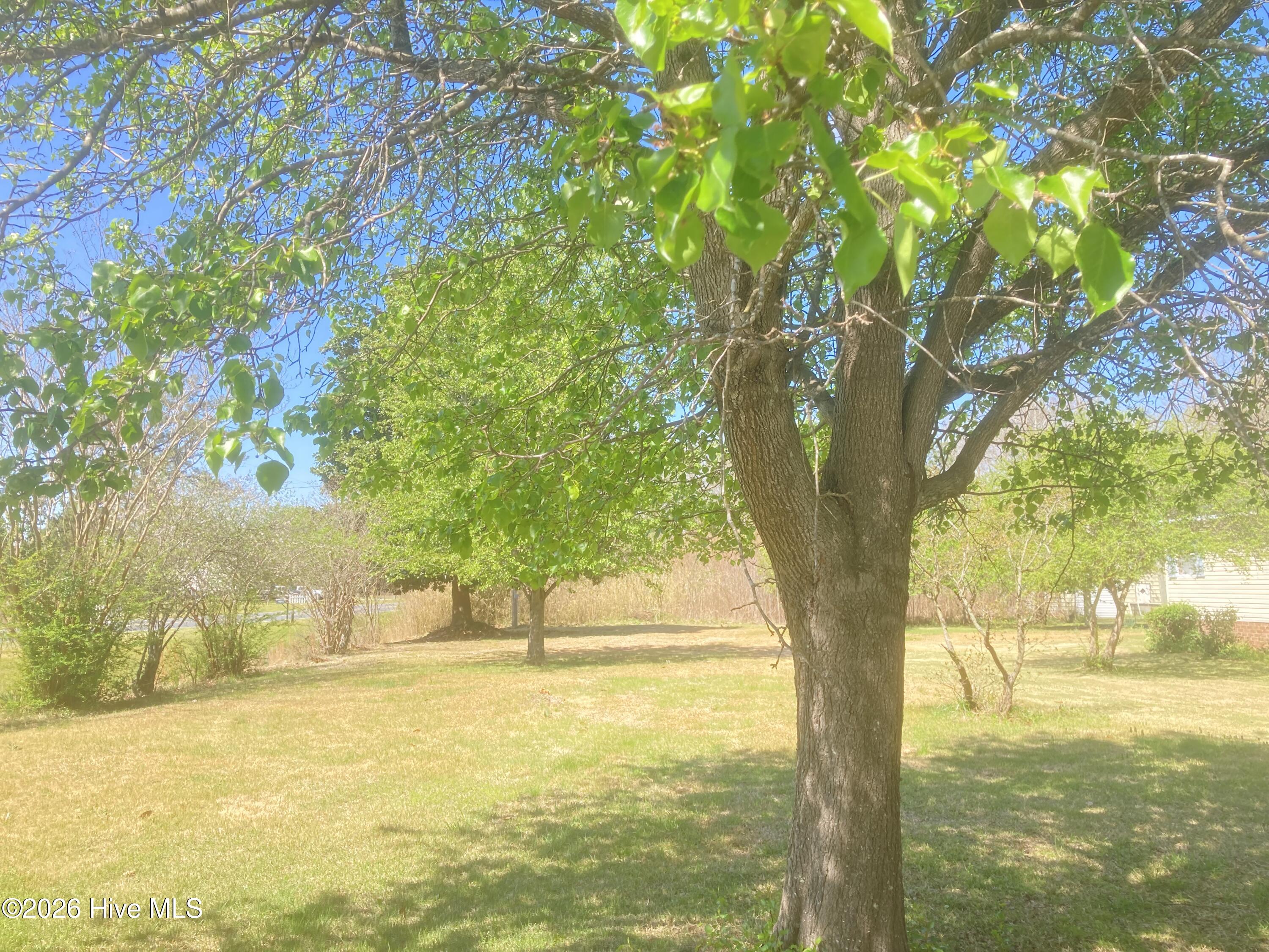 1586 Gum Swamp Church Road Property Photo 104
