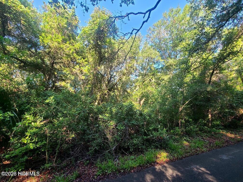 54 Fort Holmes Trail Property Photo 2