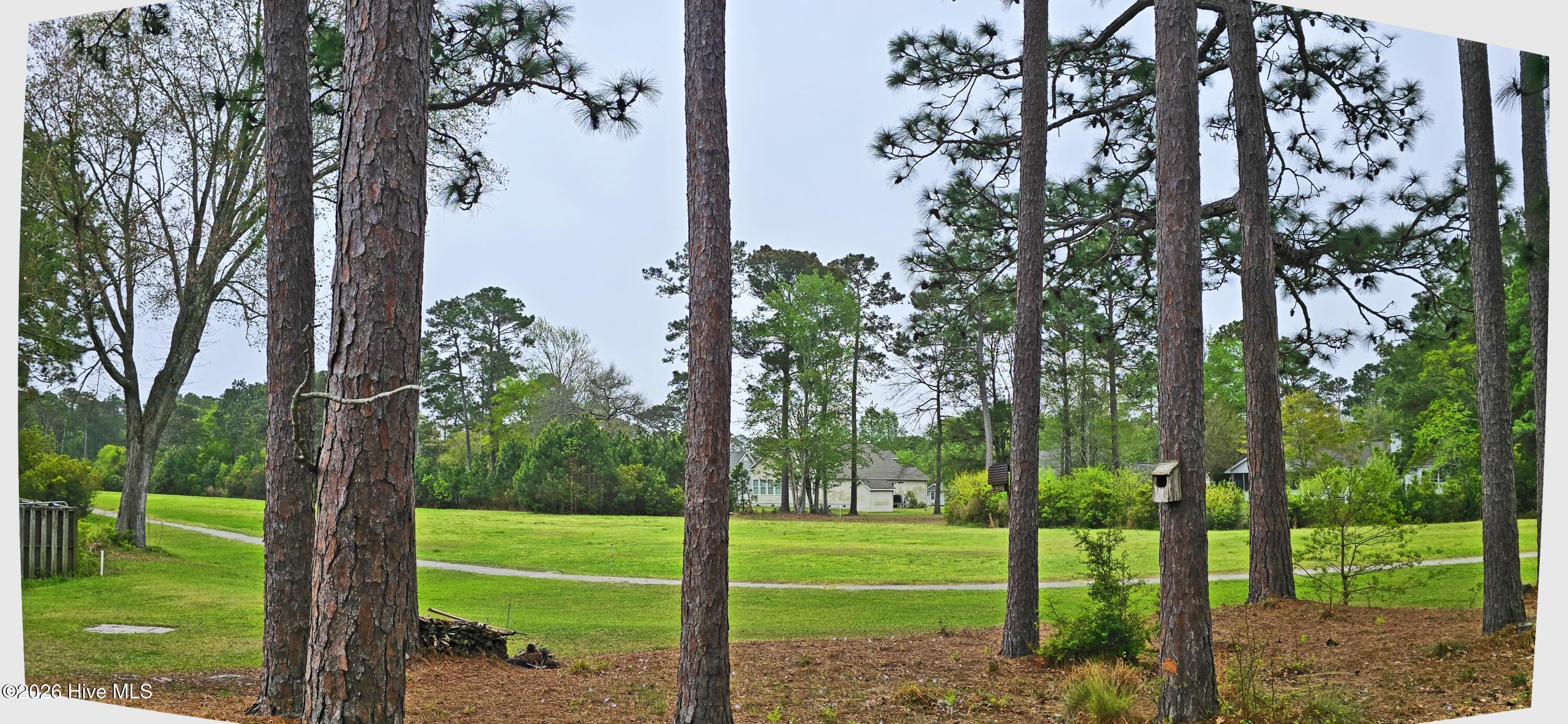 55 Country Club Drive Property Photo 23