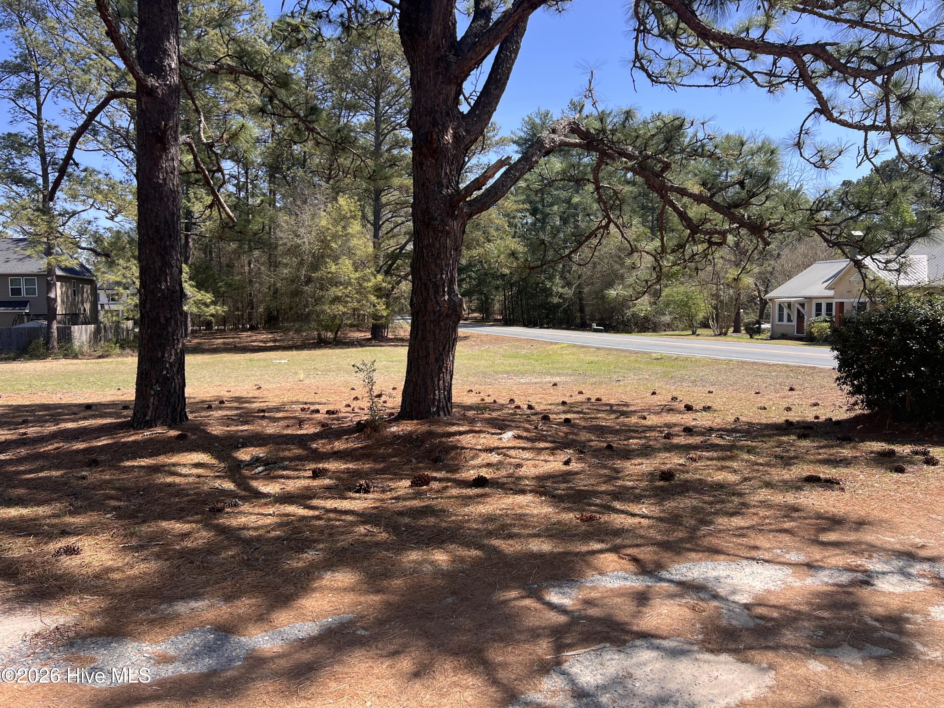 Tbd Juniper Lake Road Property Photo 2