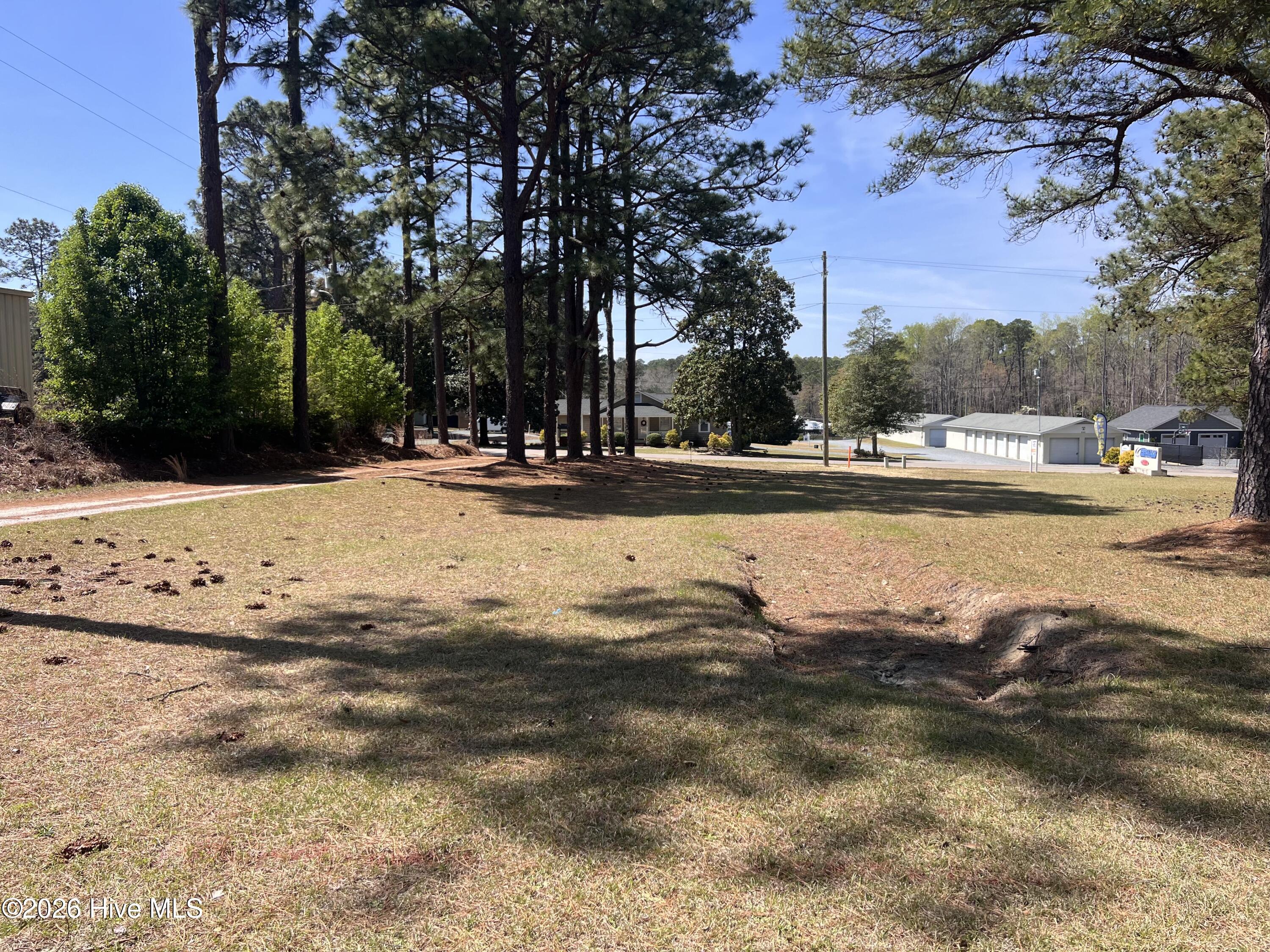 Tbd Murdocksville Road Property Photo 1