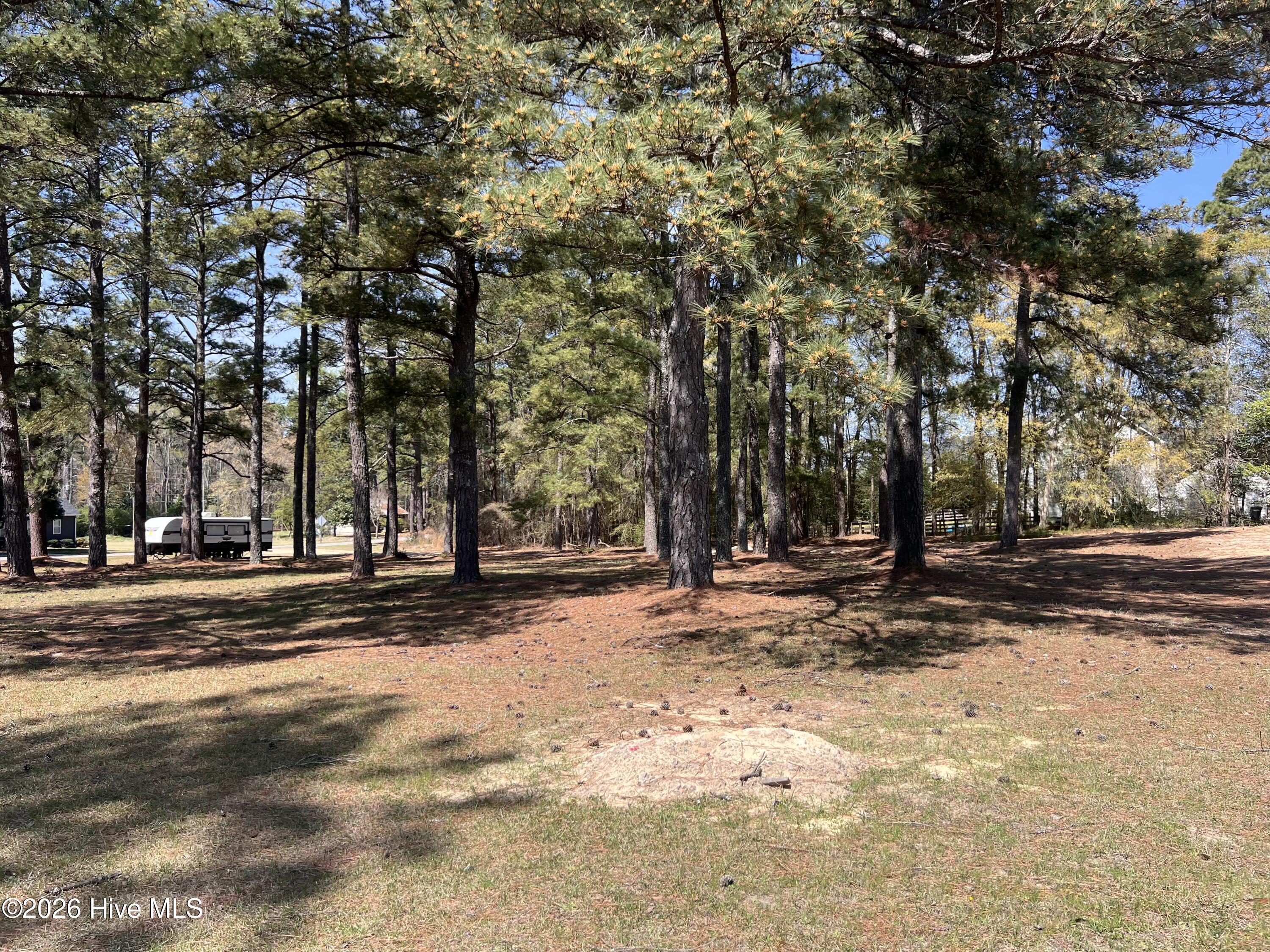 Tbd Murdocksville Road Property Photo 2