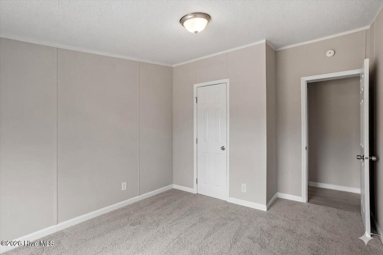 493 Williams Road Property Photo 22