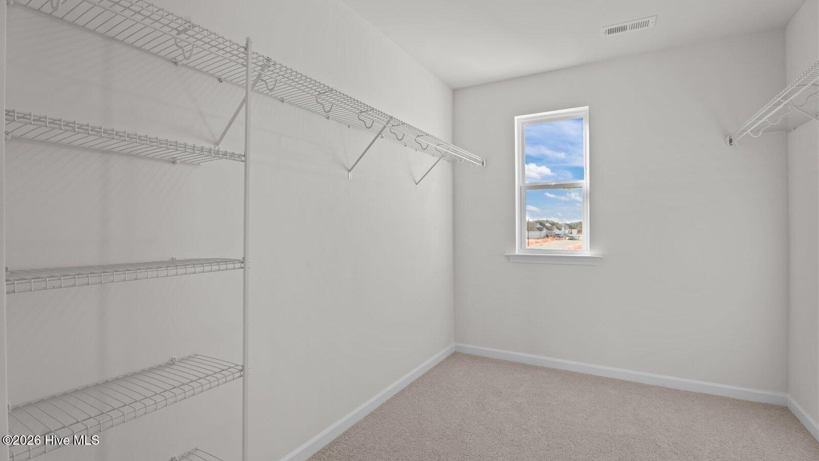 317 Wellspring Drive Property Photo 23