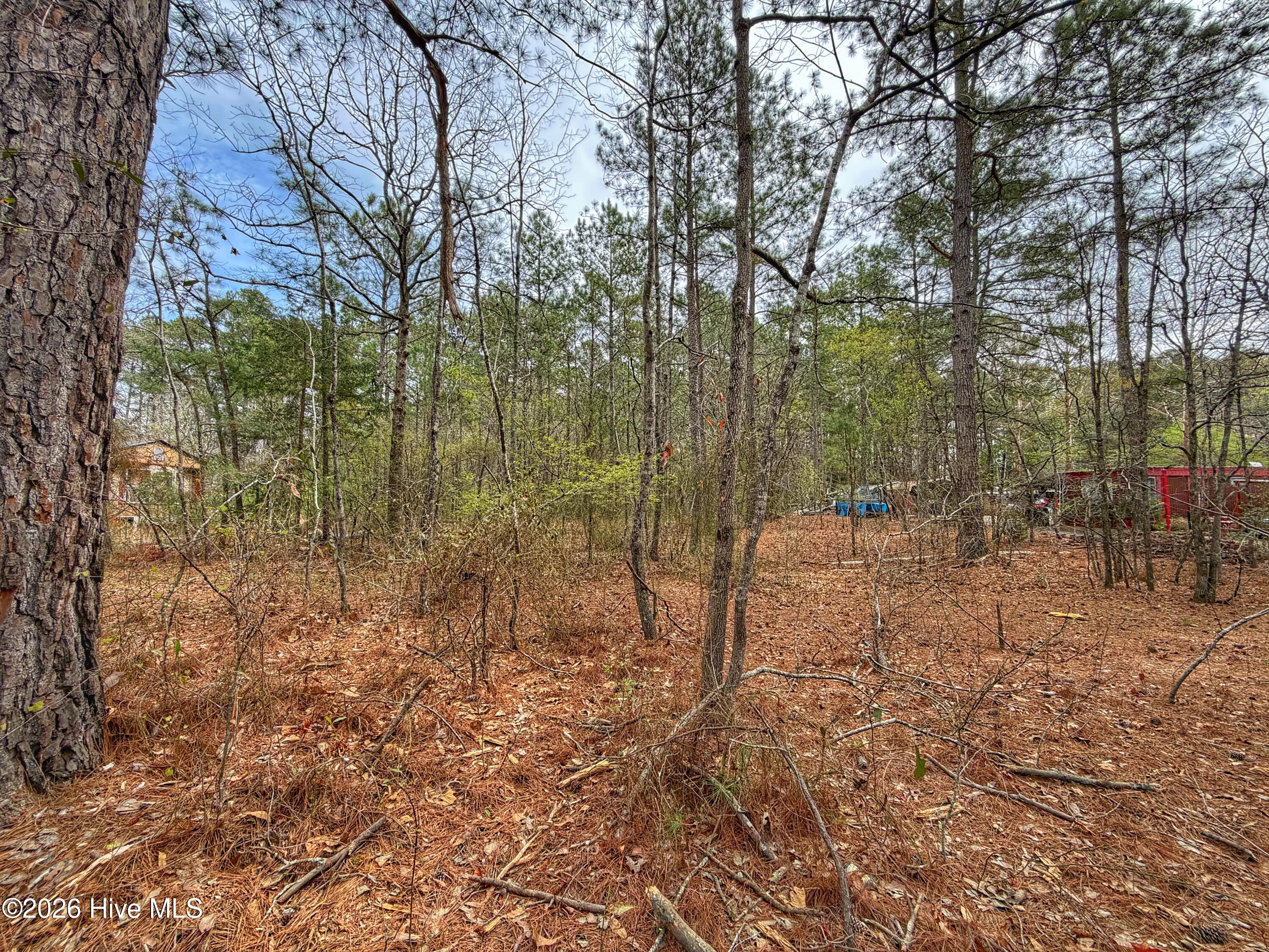 221 Riverview Drive Property Photo 21