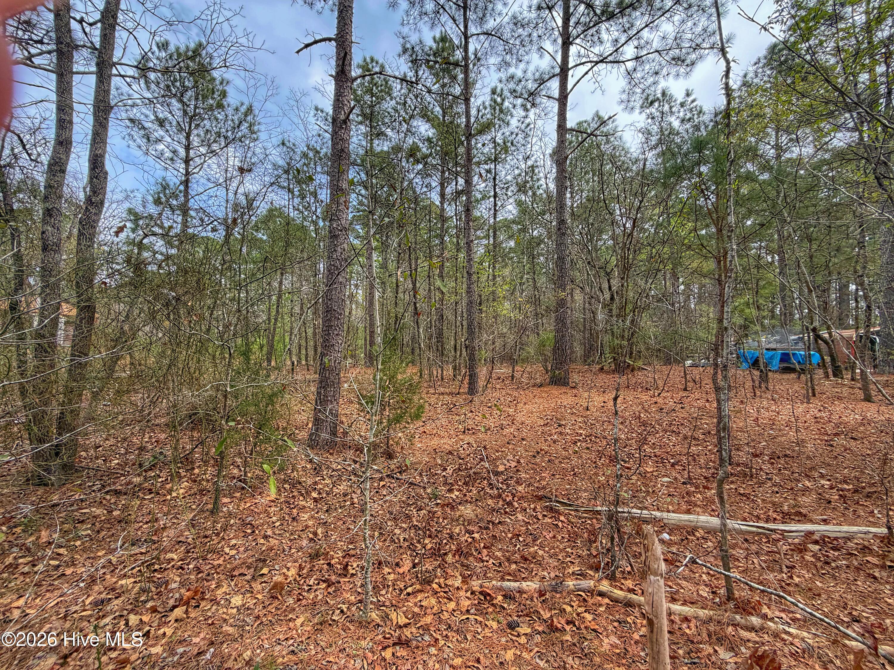221 Riverview Drive Property Photo 23