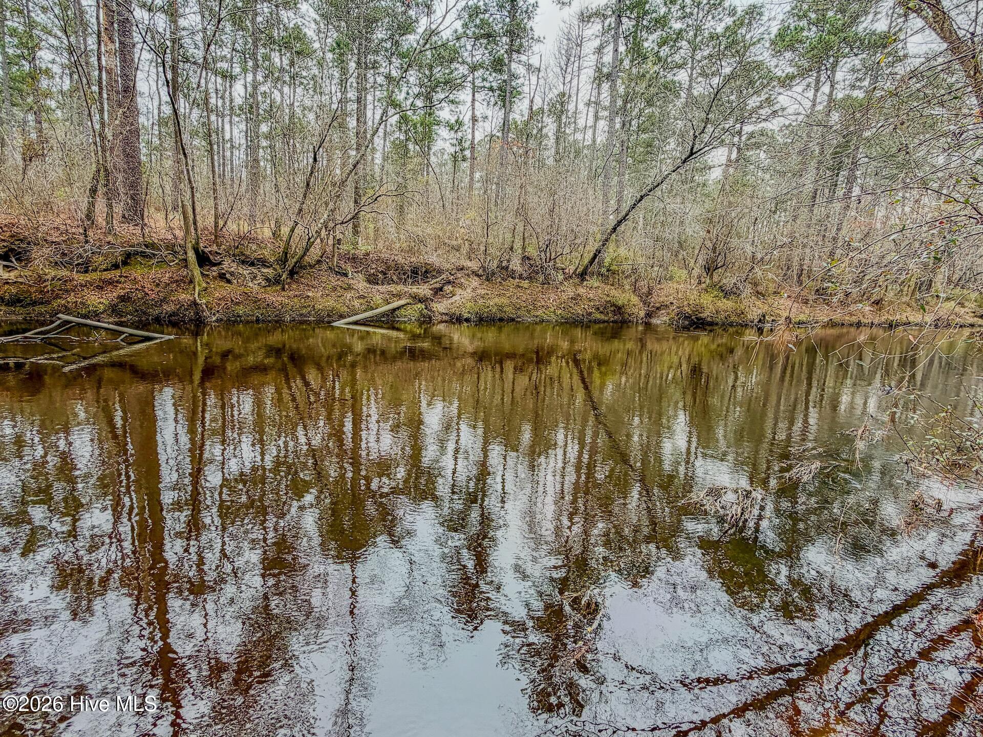 0 Lobelia Road Property Photo 37