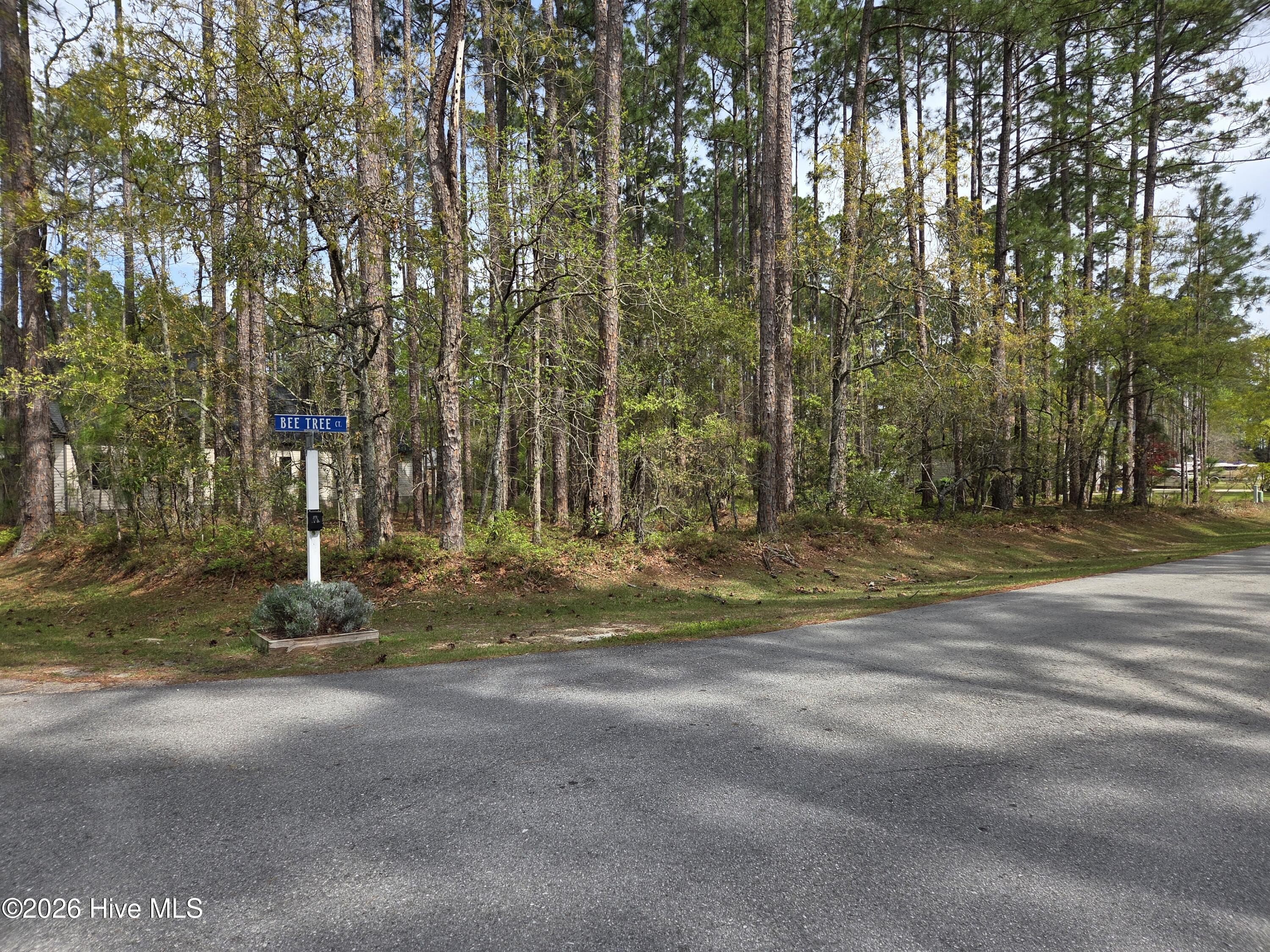 901 Bee Tree Court Property Photo 1