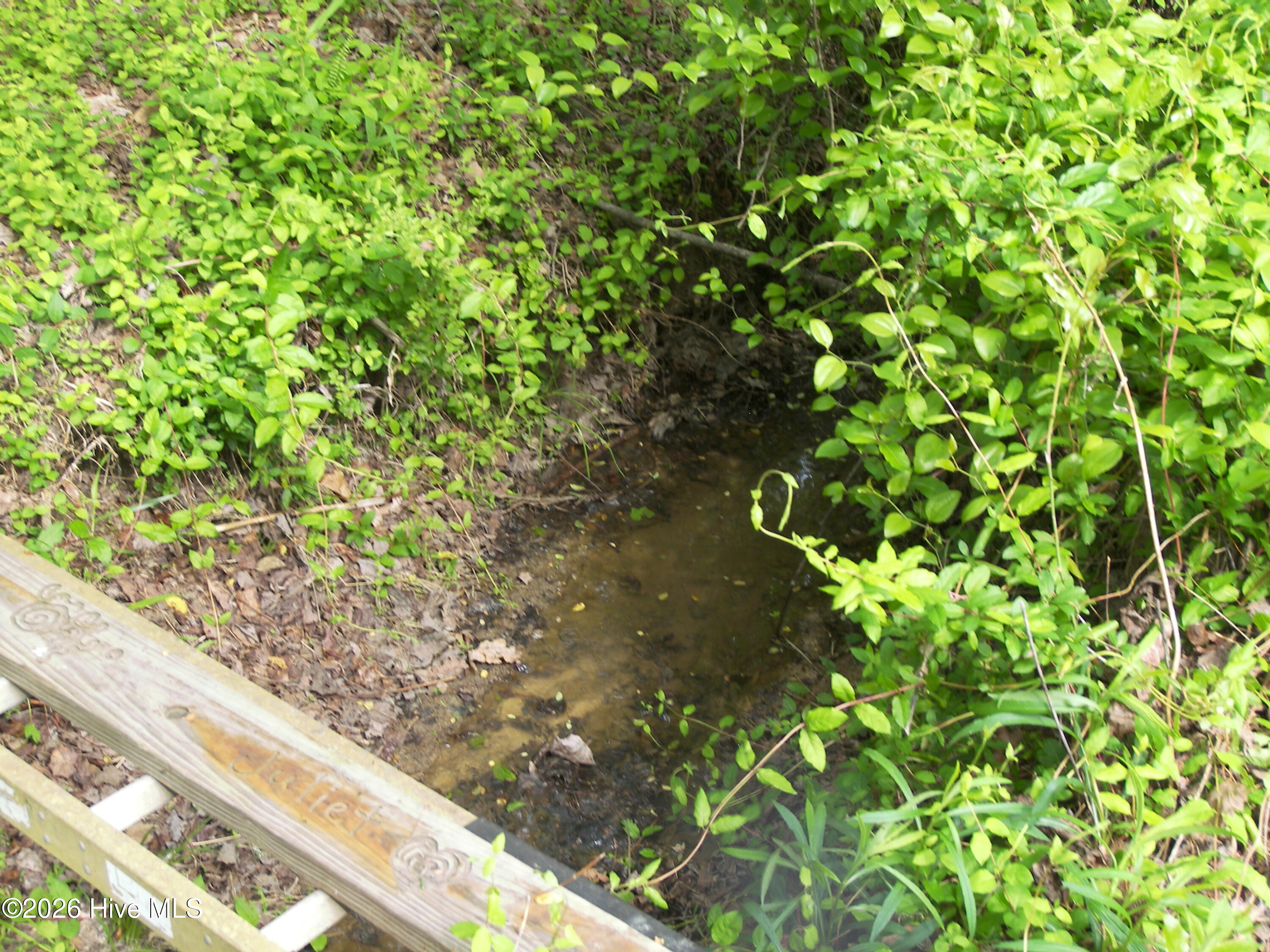 2470 Ridge Road Property Photo 17