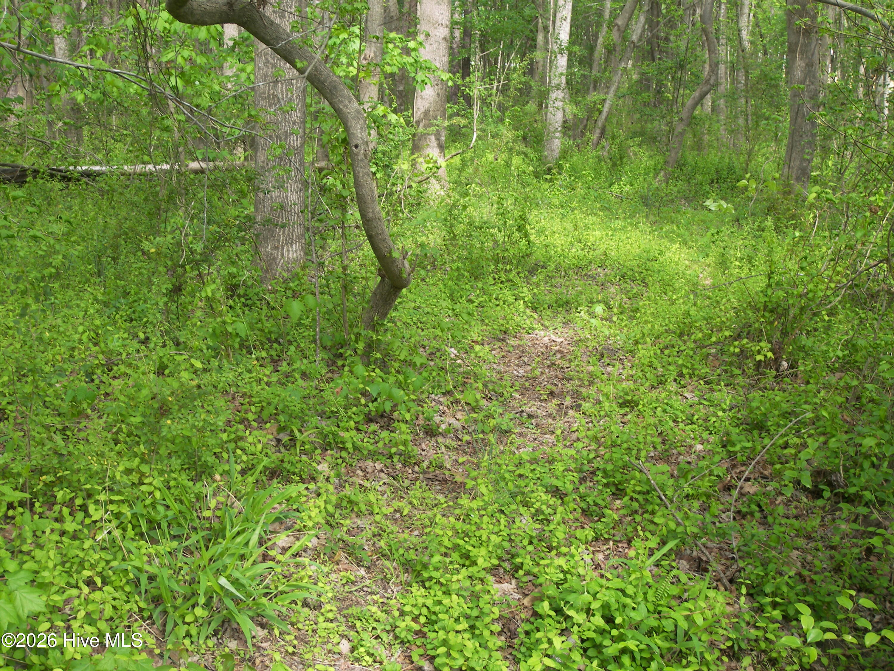 2470 Ridge Road Property Photo 18