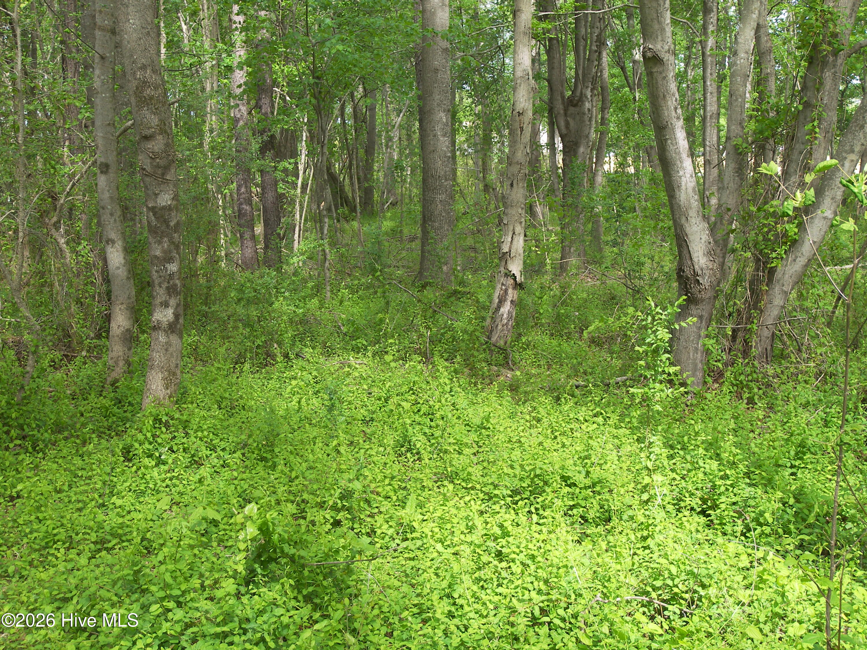 2470 Ridge Road Property Photo 19