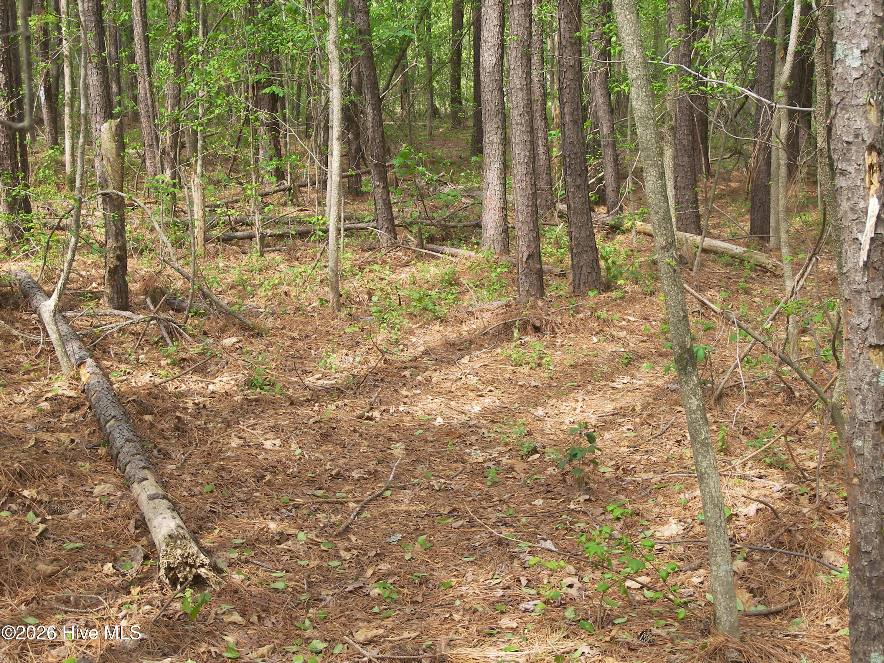 2470 Ridge Road Property Photo 20