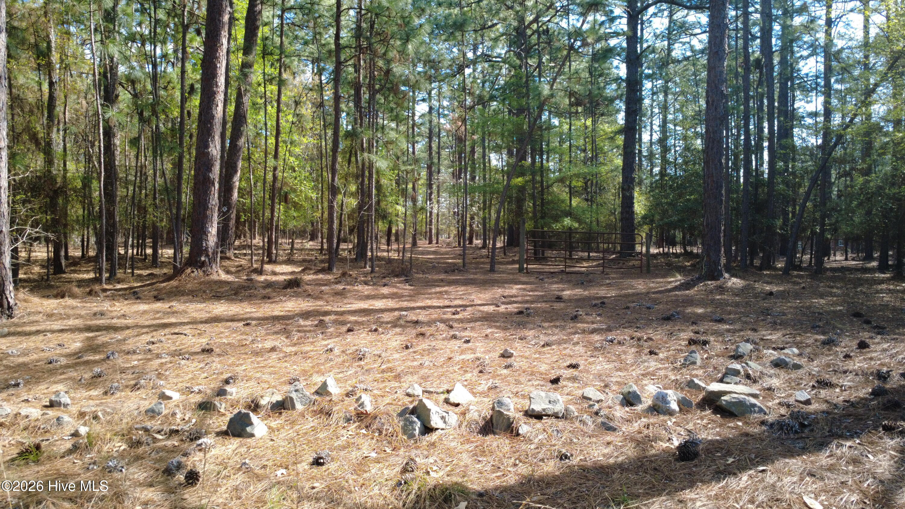 Tbd Horse Creek Run Property Photo 1