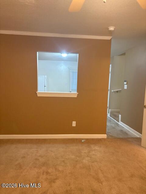 907 Springwood Drive Property Photo 4