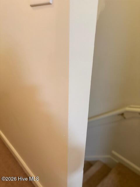 907 Springwood Drive Property Photo 12