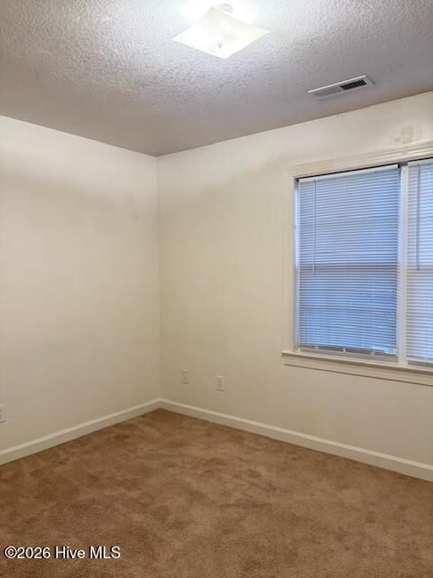 907 Springwood Drive Property Photo 15