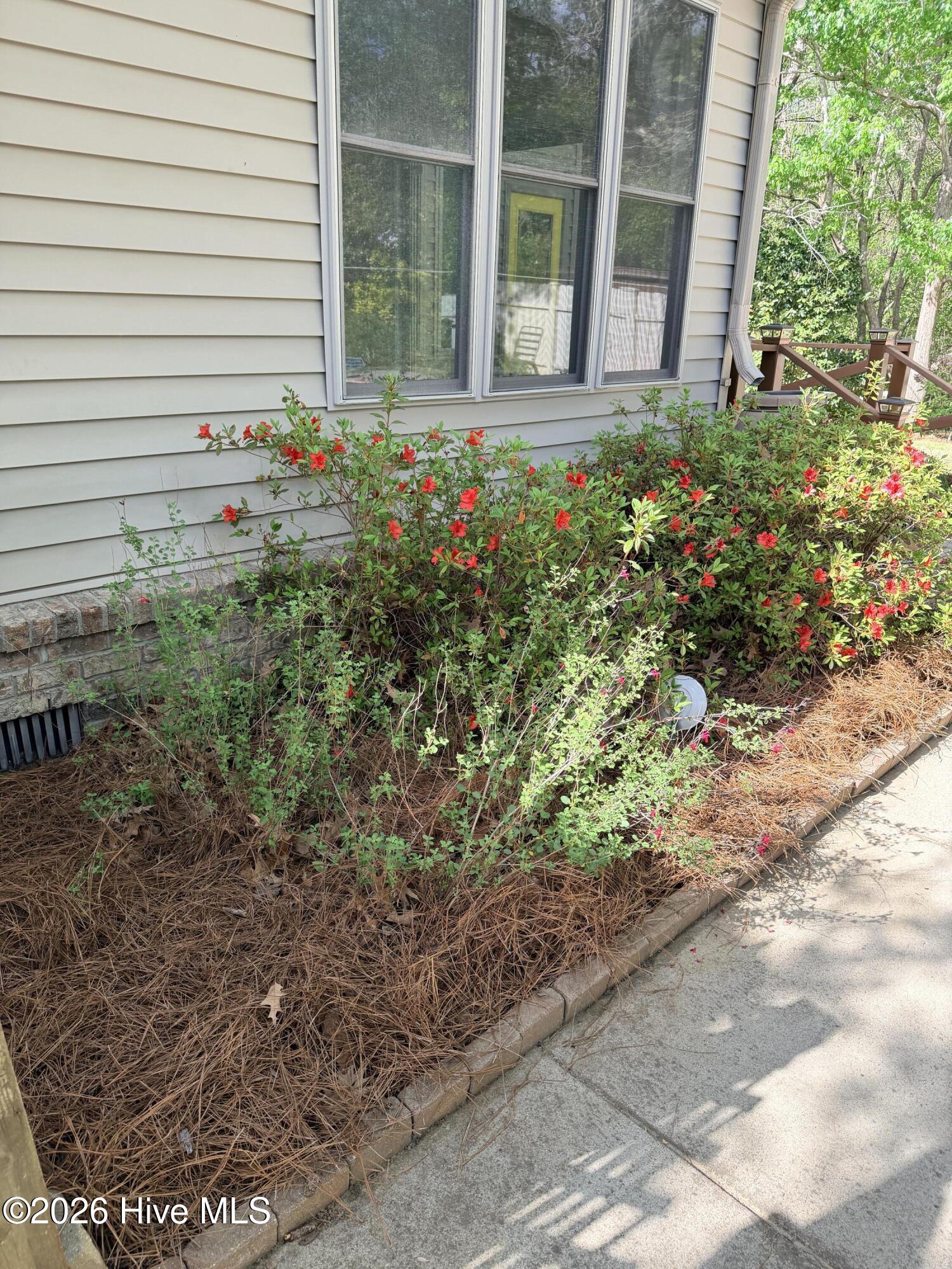1 Joshua Drive Property Photo 54