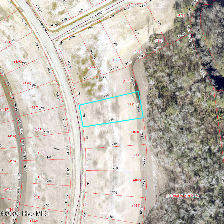 2009 Tarpon Trail Property Photo 3