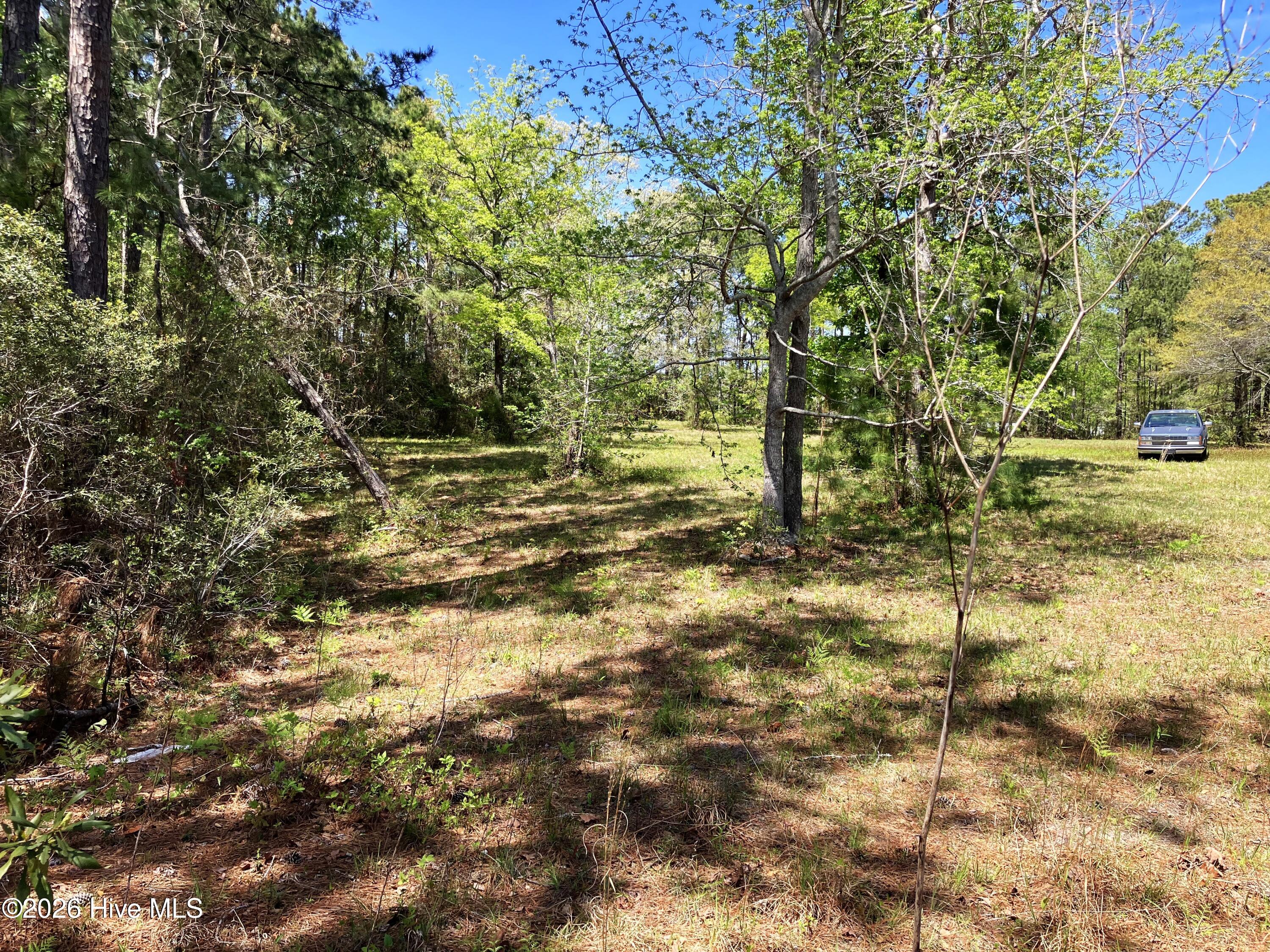0 Lukeath Carter Drive Property Photo 4