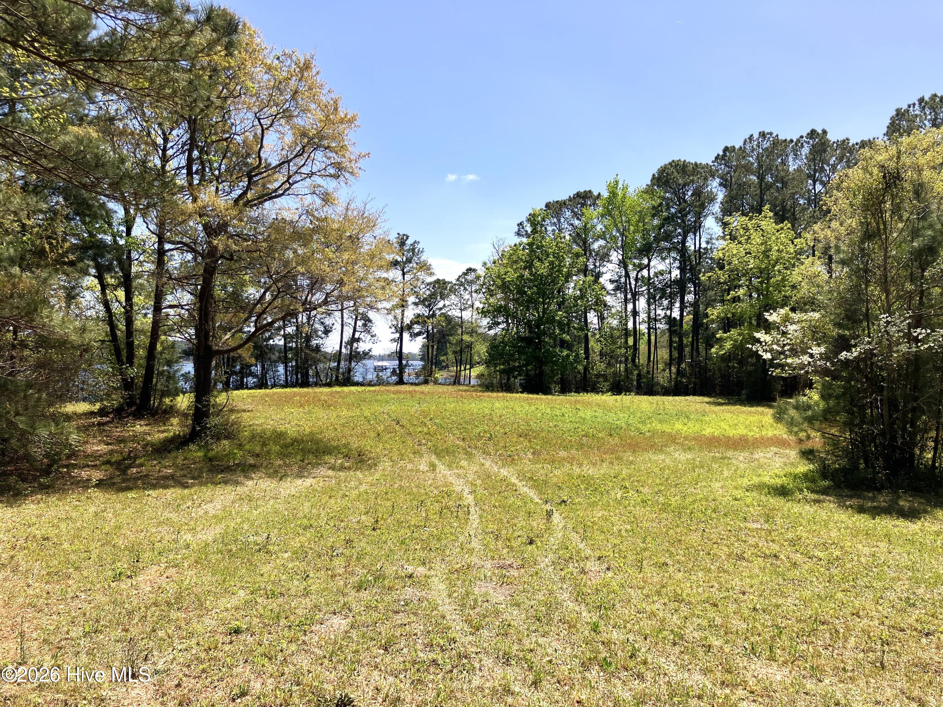 0 Lukeath Carter Drive Property Photo 12