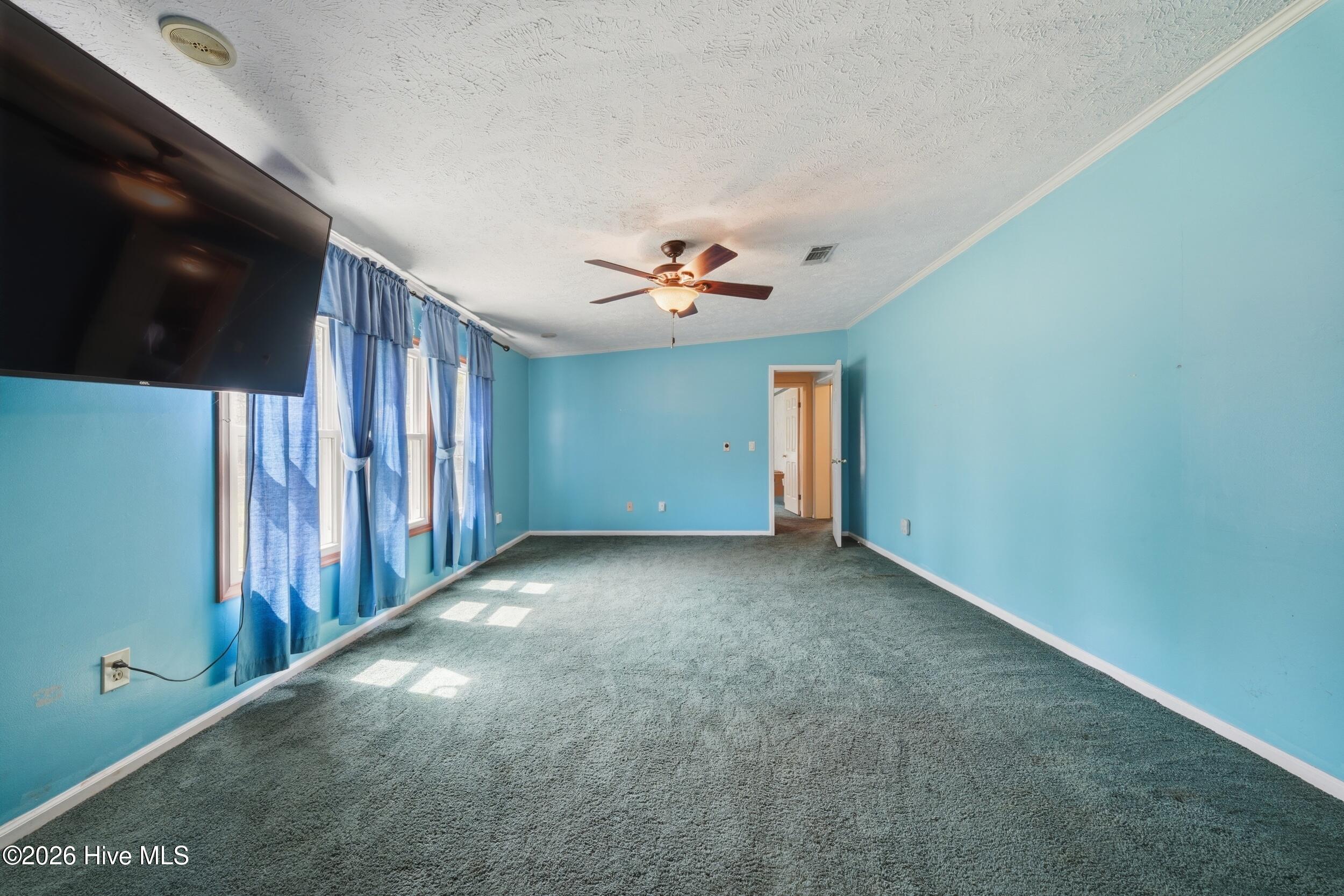 594 Drum Hill Road Property Photo 17