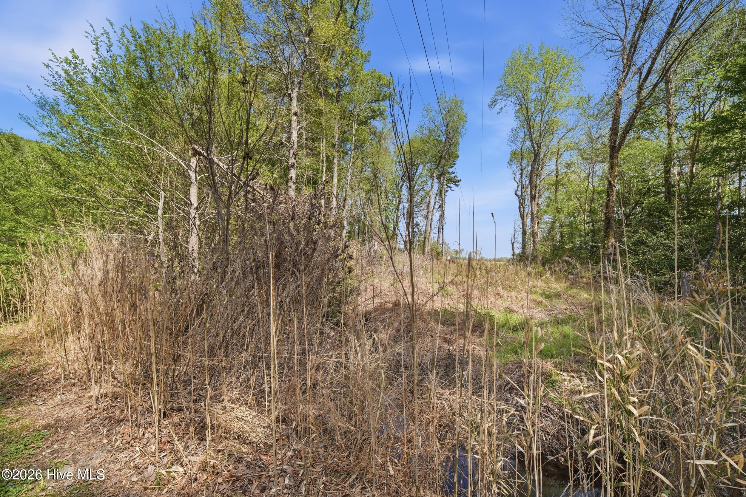594 Drum Hill Road Property Photo 35