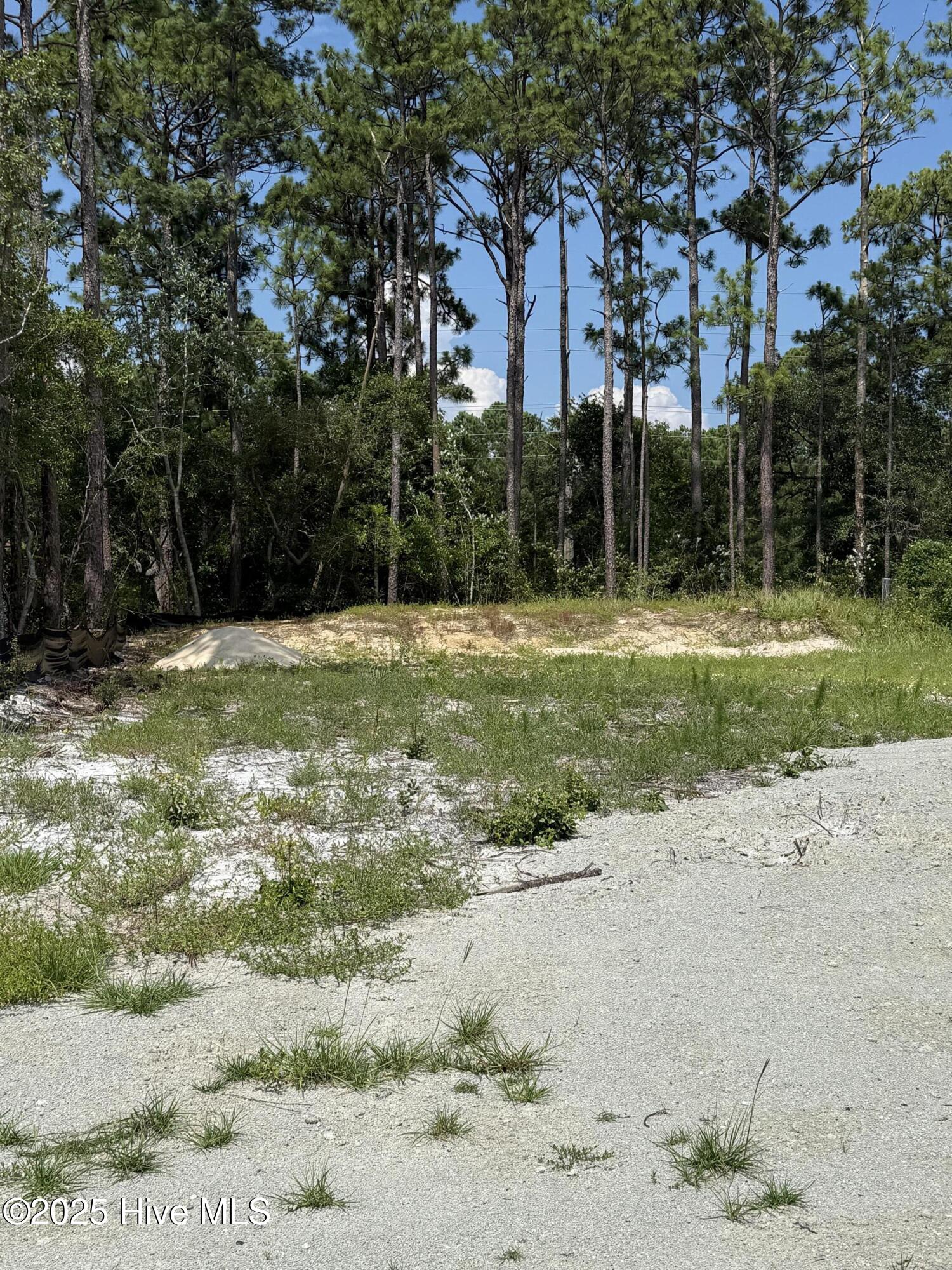 2286 Barnacle Drive Sw Property Photo 4