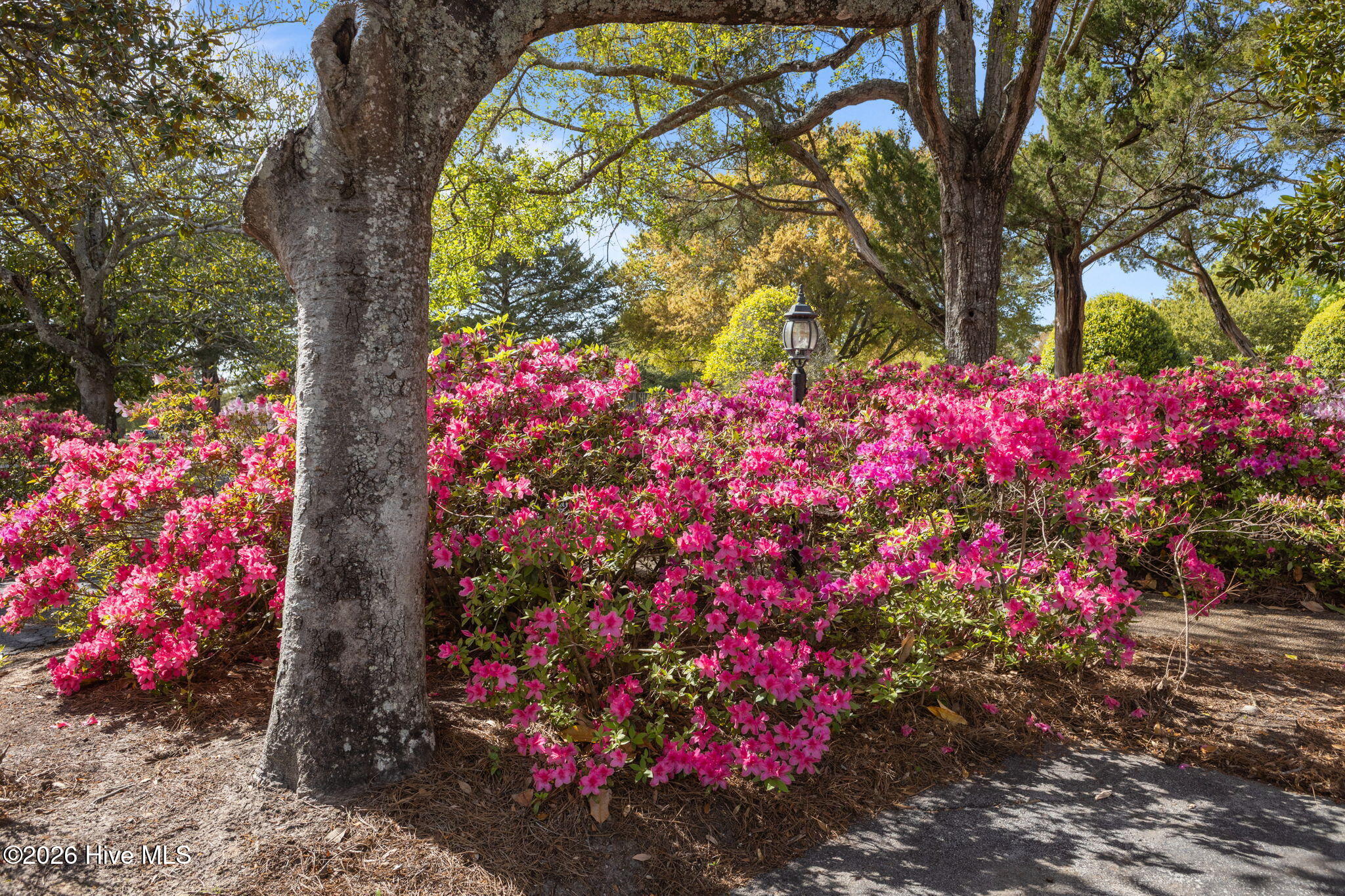 142 Corncake Circle Property Photo 43