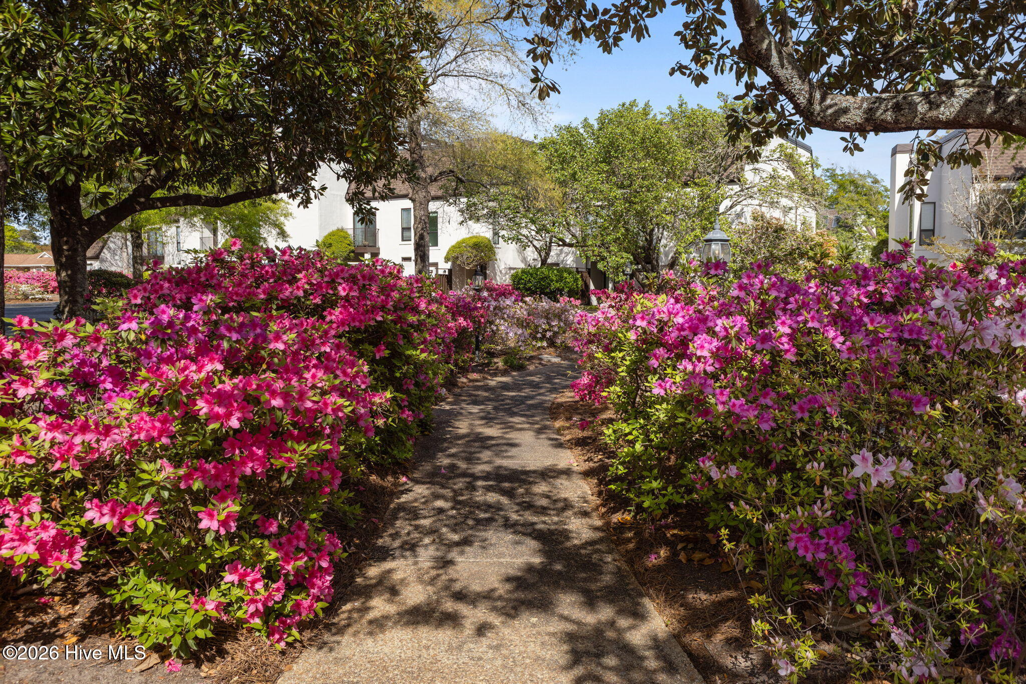 142 Corncake Circle Property Photo 44