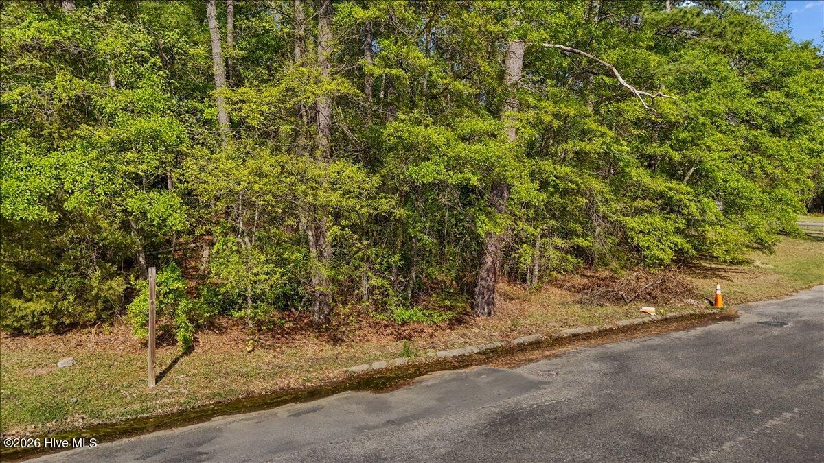 Lot 1 Biltmore Drive Property Photo 10