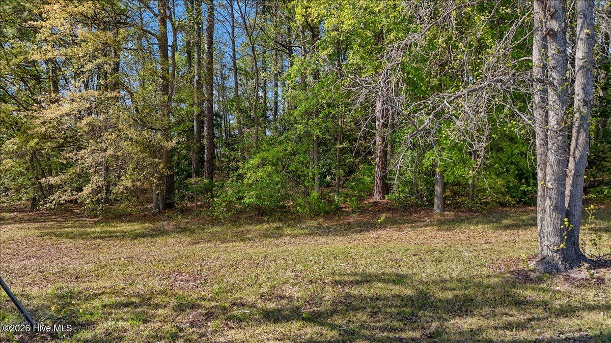 Lot 1 Biltmore Drive Property Photo 12