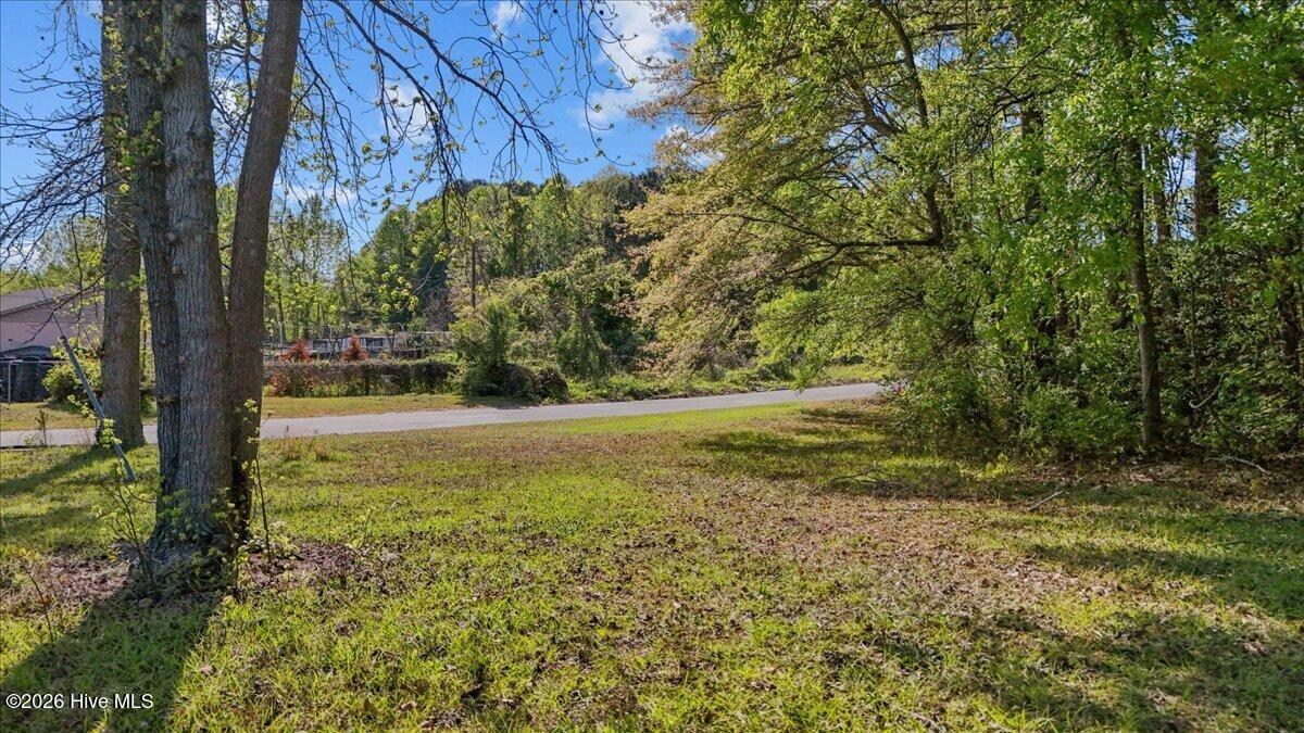 Lot 1 Biltmore Drive Property Photo 14