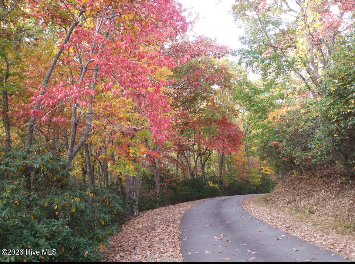 359 Whippoorwill Trail Property Photo 49