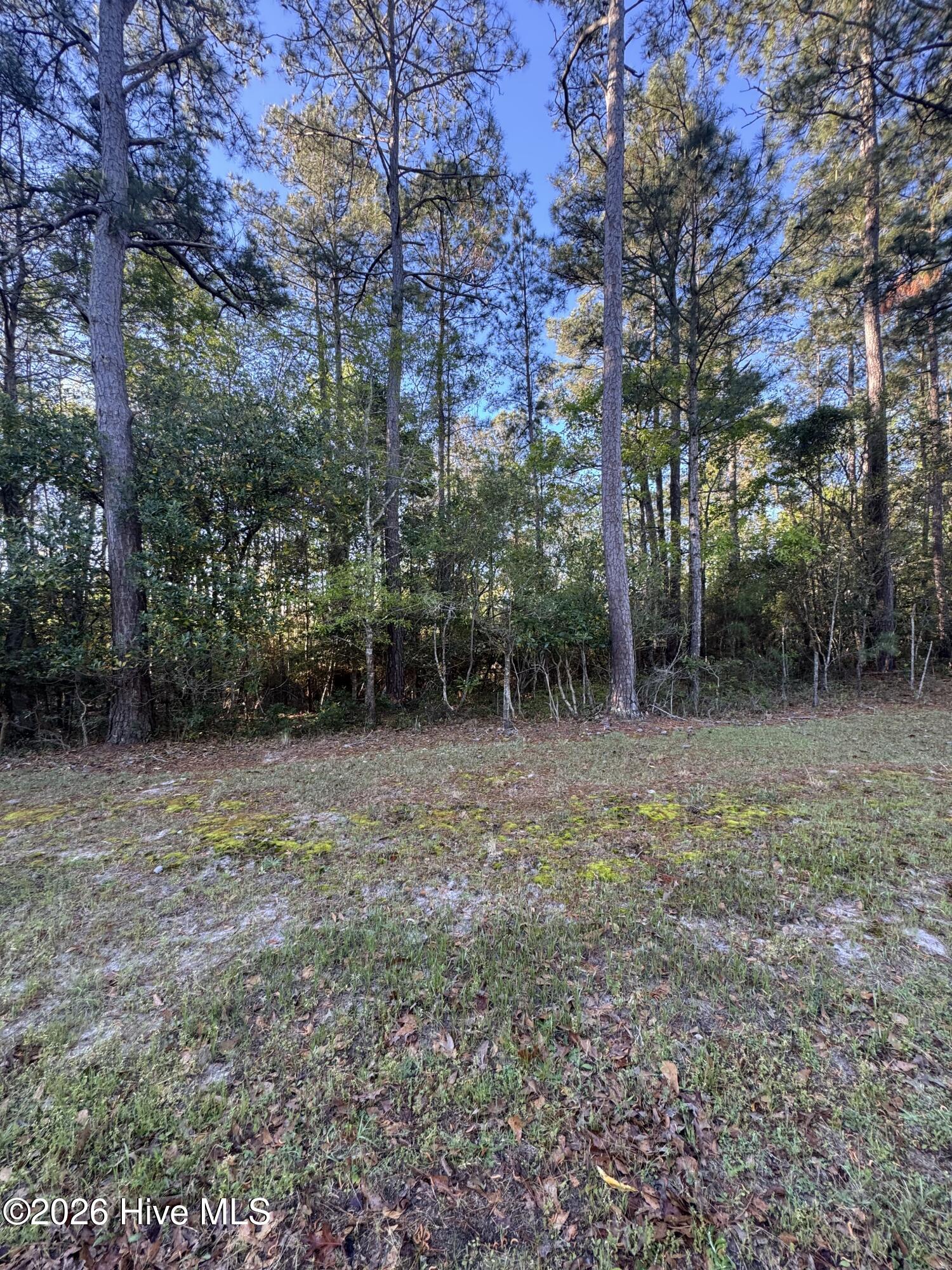 43 43 Pond View Circle E Property Photo 6