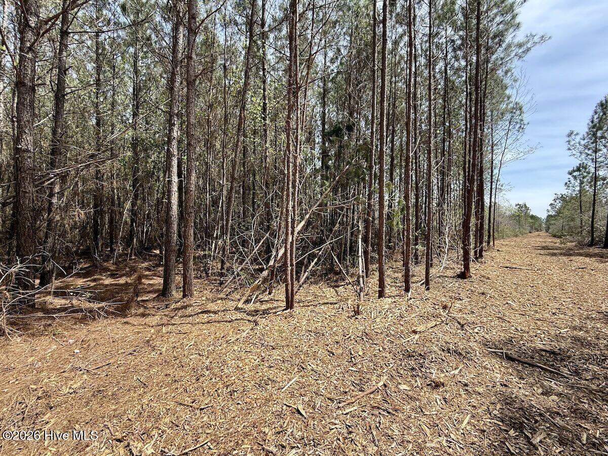 0 15 Guinea Mill Road Property Photo 7