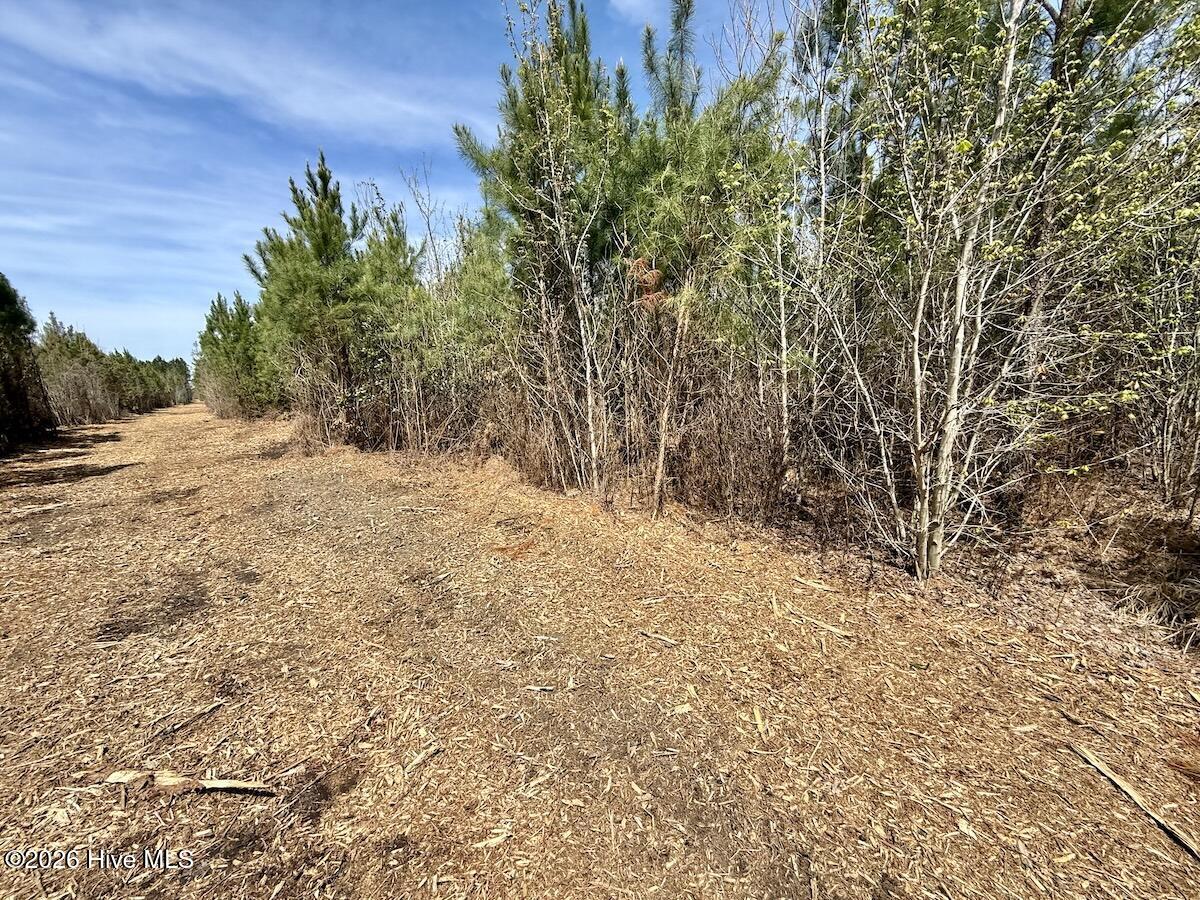 0 15 Guinea Mill Road Property Photo 22