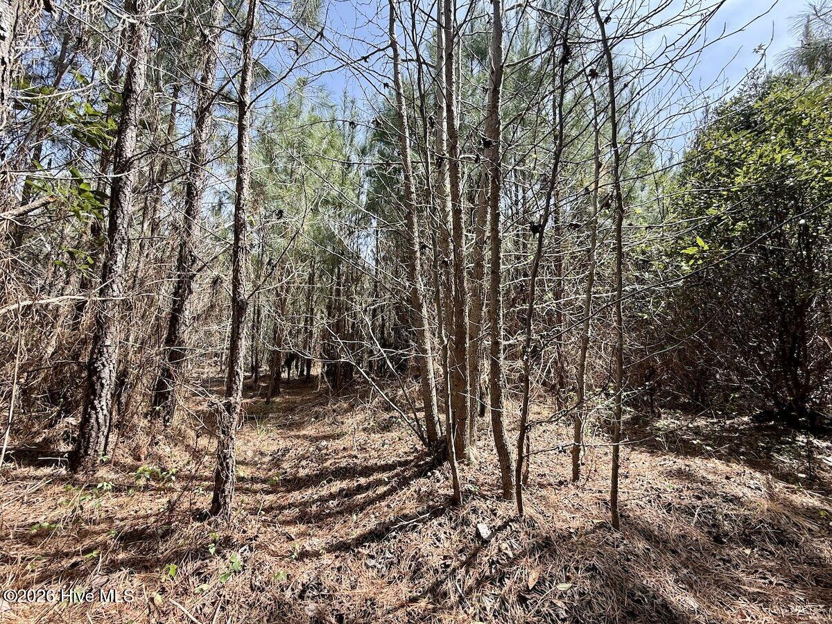 0 15 Guinea Mill Road Property Photo 23