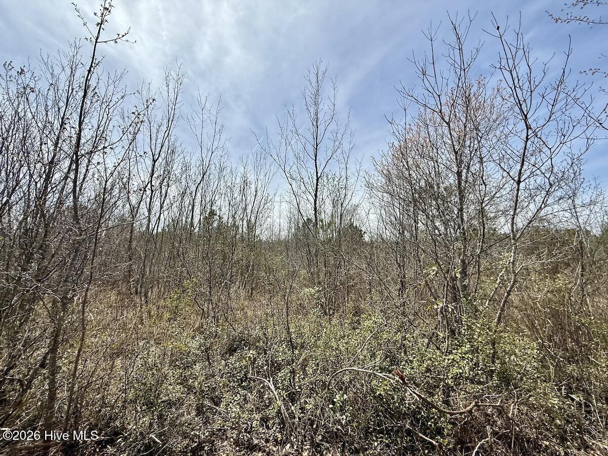 0 15 Guinea Mill Road Property Photo 25