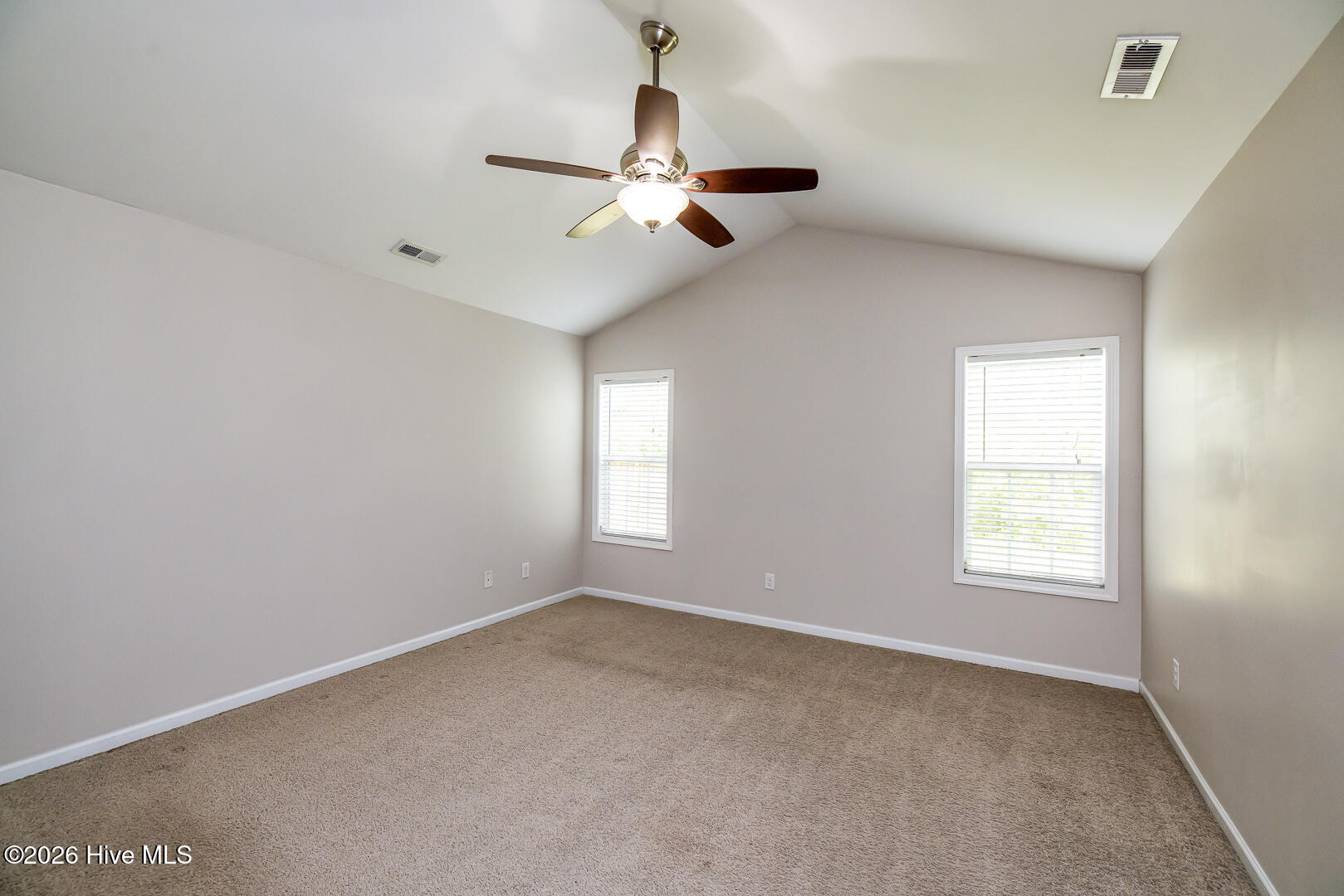 1017 Bally Bunion Lane Property Photo 13