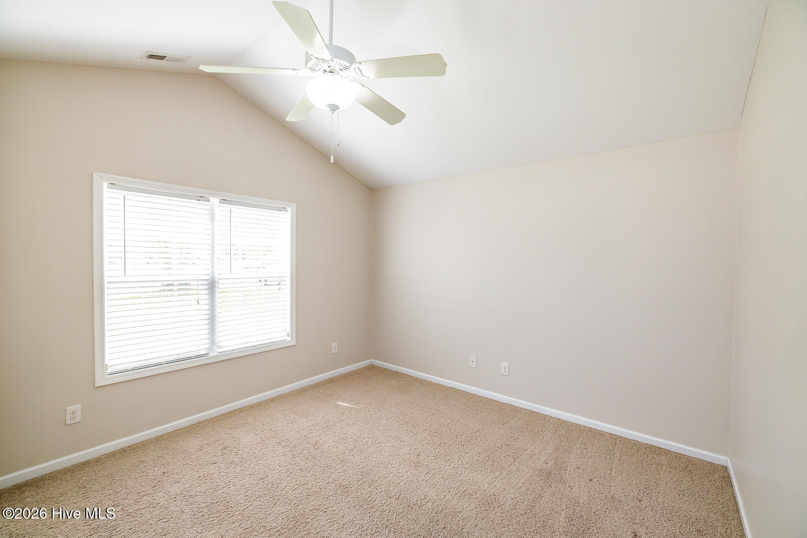 1017 Bally Bunion Lane Property Photo 18