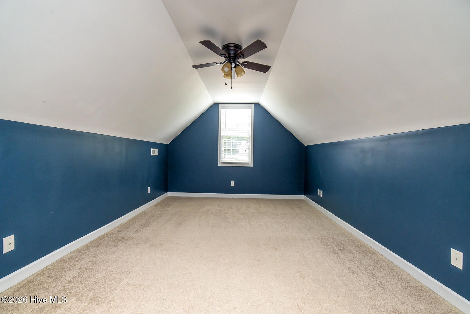 1017 Bally Bunion Lane Property Photo 21