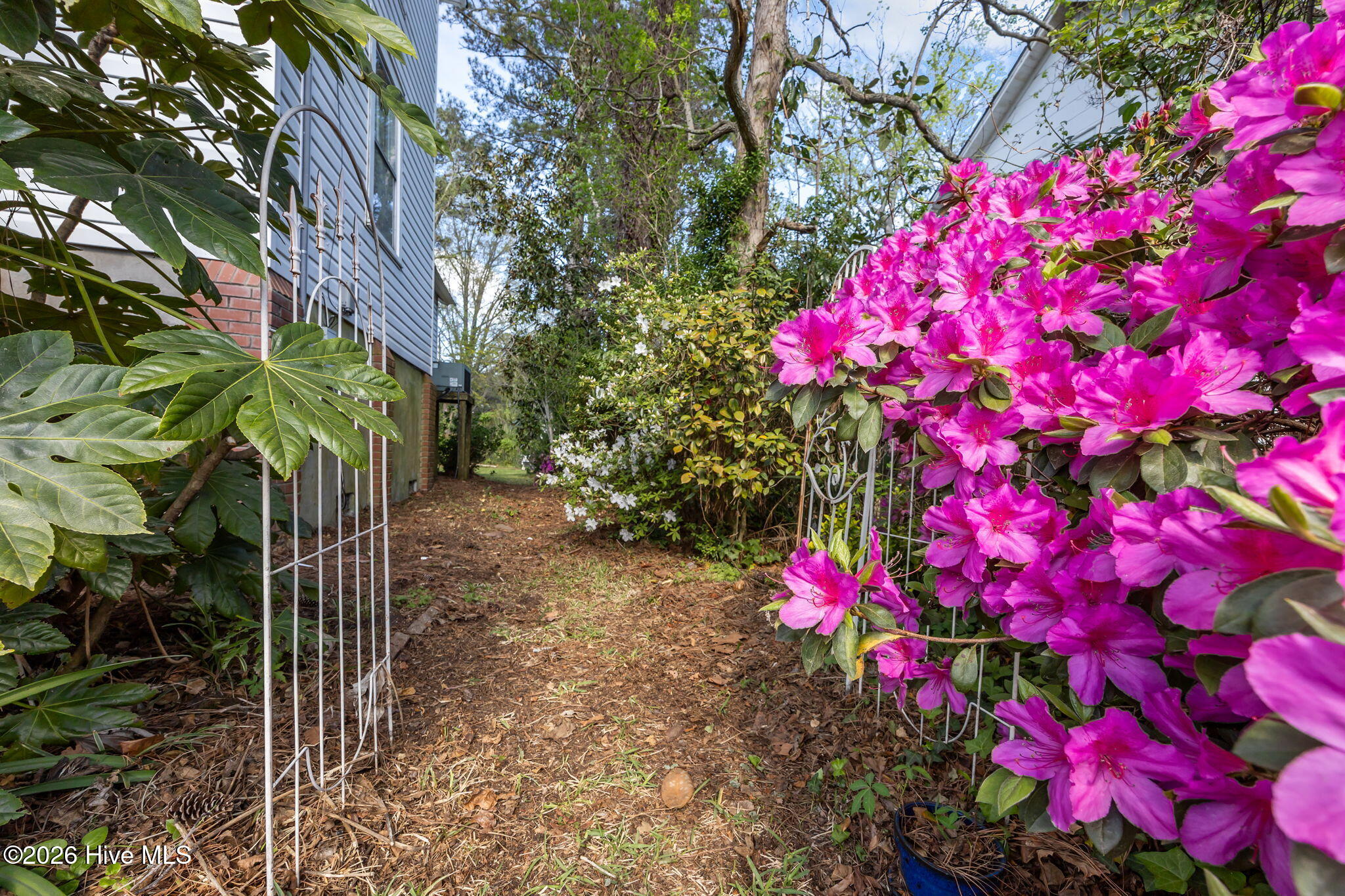 325 Broad Street Property Photo 50